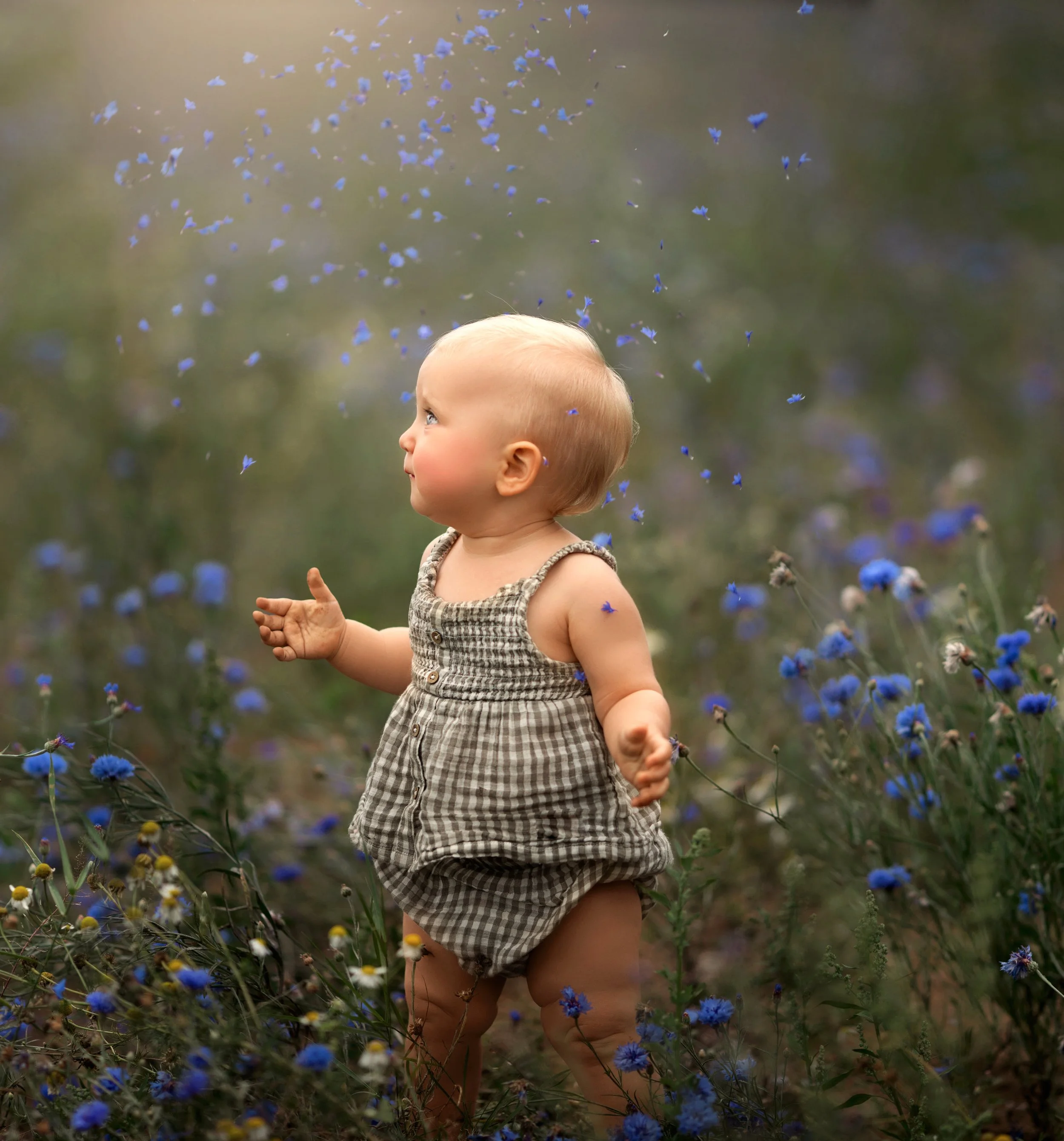 5T5A4554copy copy.jpg