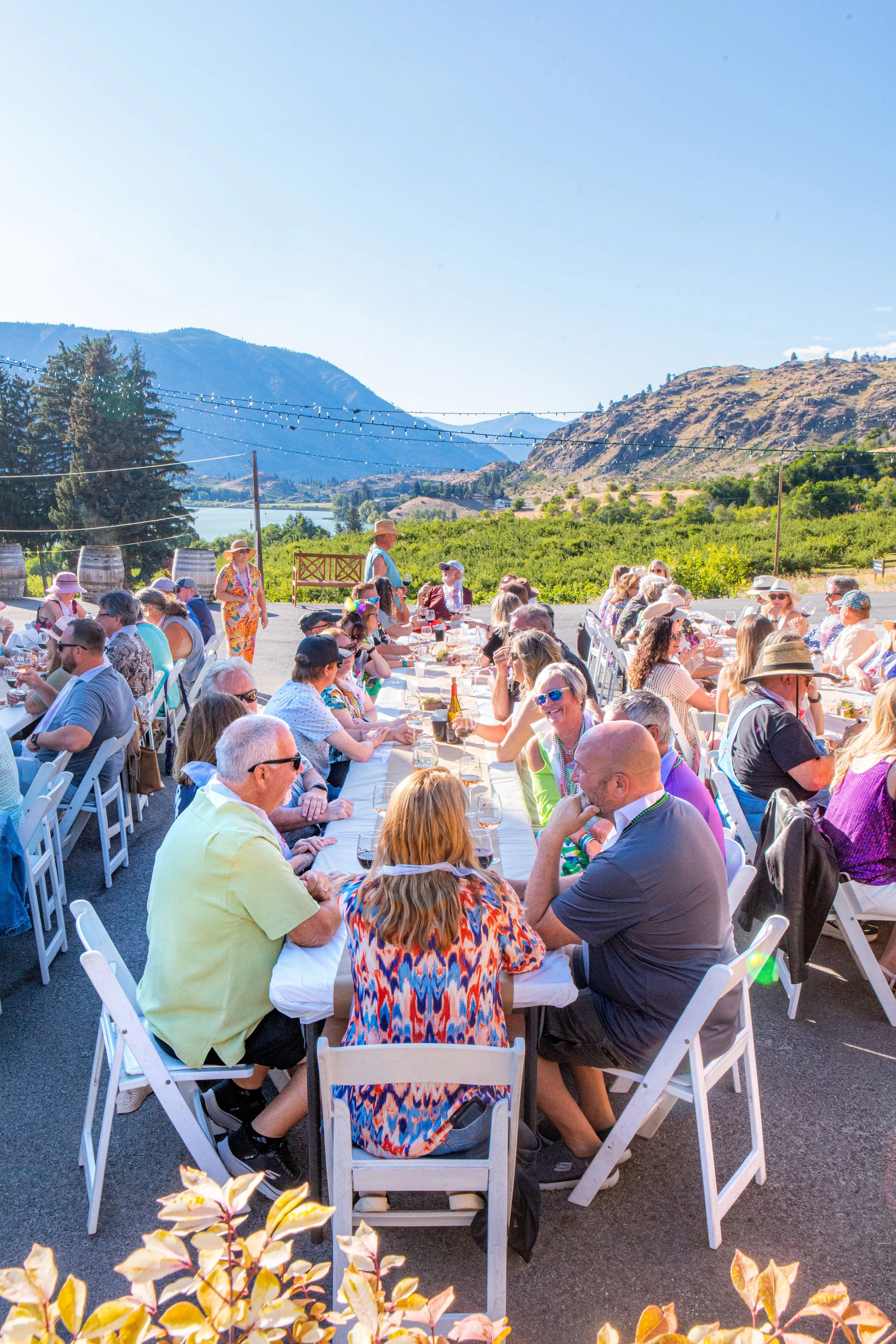 Community & Nonprofit Planning