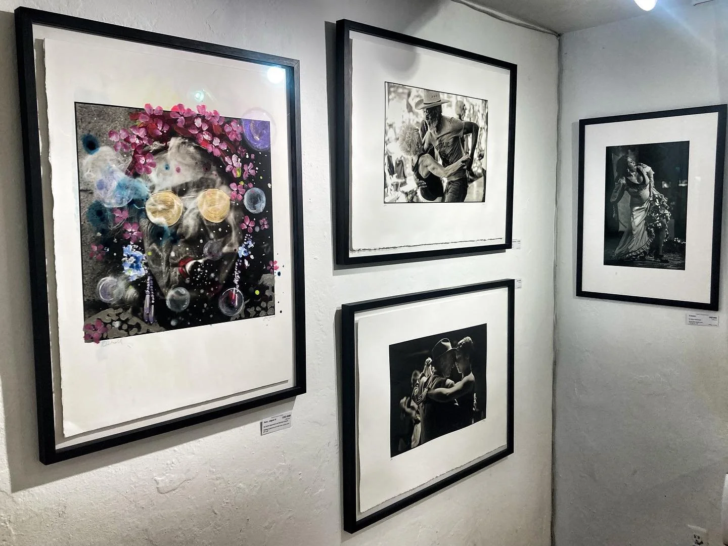 Puro&hellip; alegria Neo-platinum, the Southern Gentleman from Lafayette LA, el Viejo maestro from Buenos Aires, Pasion from Jerez de la Frontera and Mynga by John Kenny.  @aquaartmiami @capitalculturegallery @artist_rachaeldalzell @sparshatt_and_dal