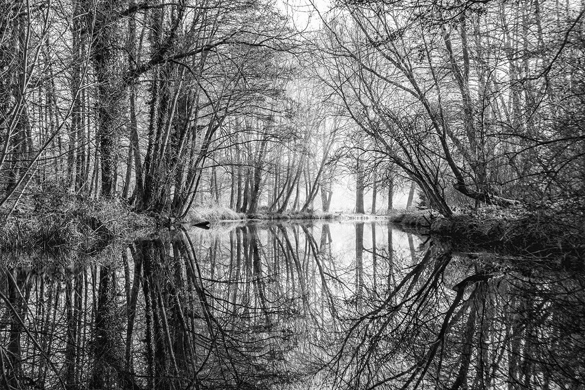 Nature's cathedral