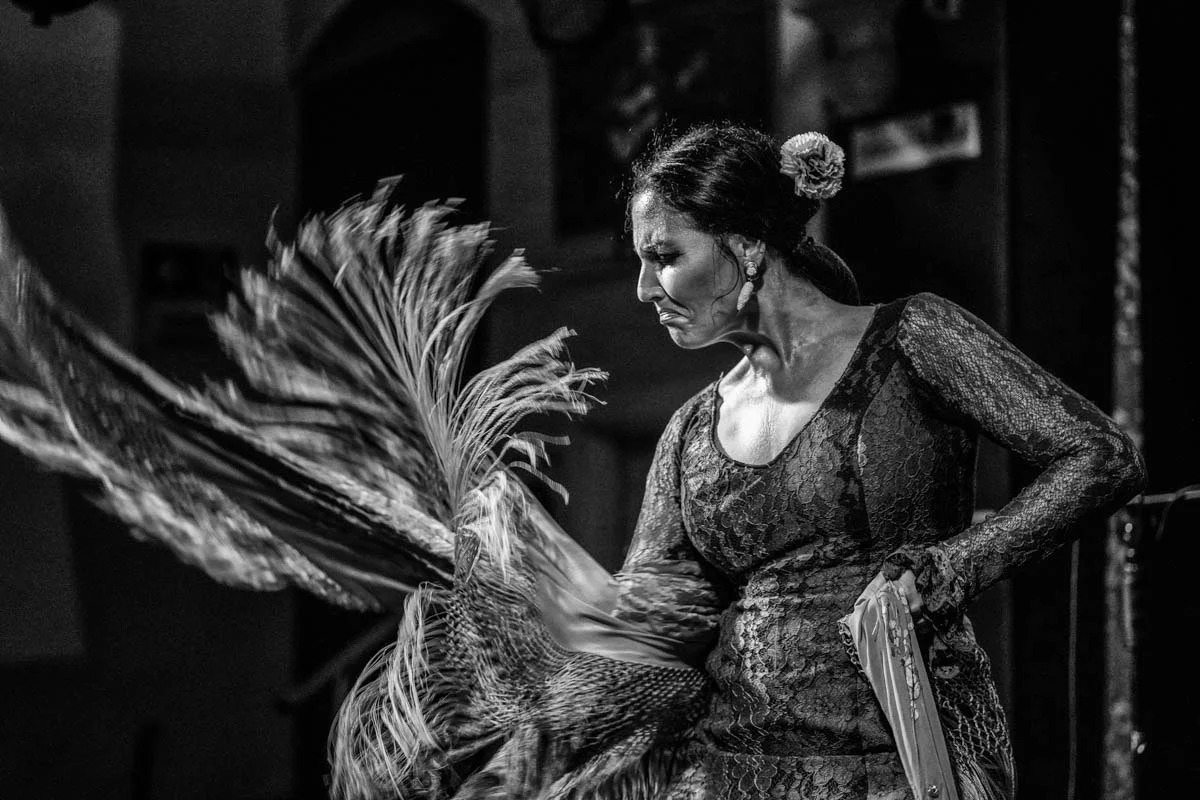 The Passions of Flamenco
