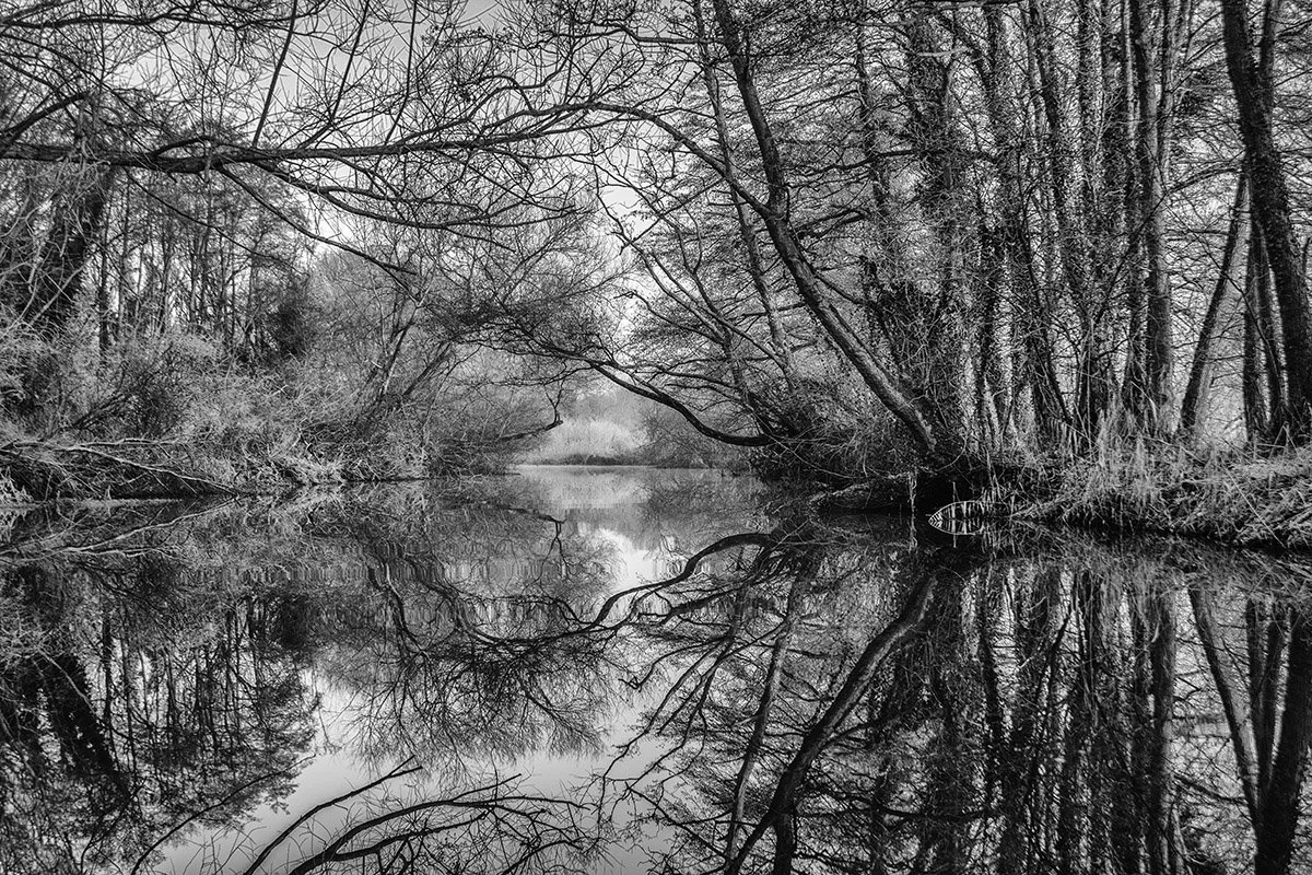 Reflections on the Bure