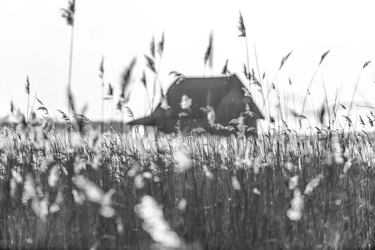 House on the marsh