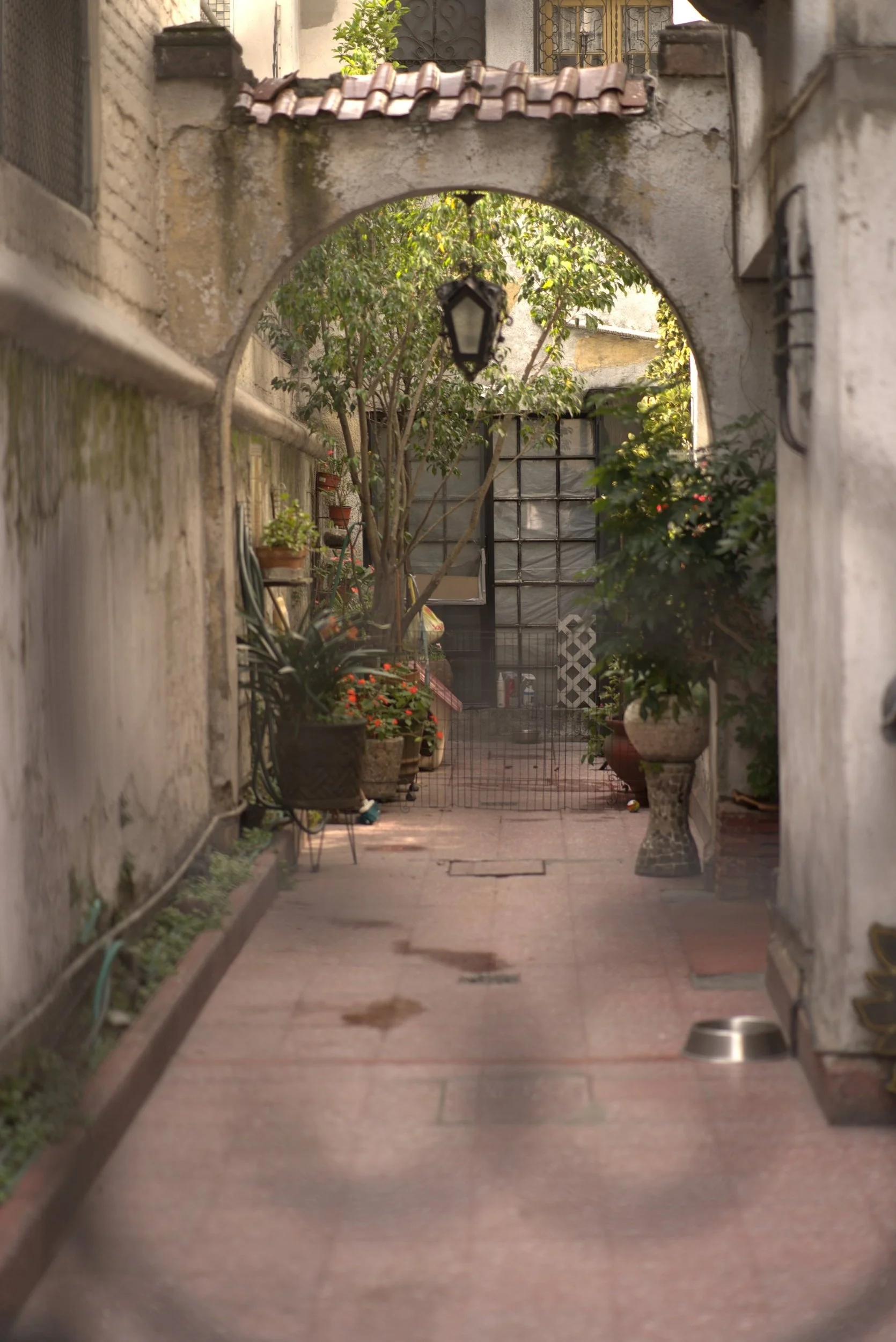 DSC09037.jpg