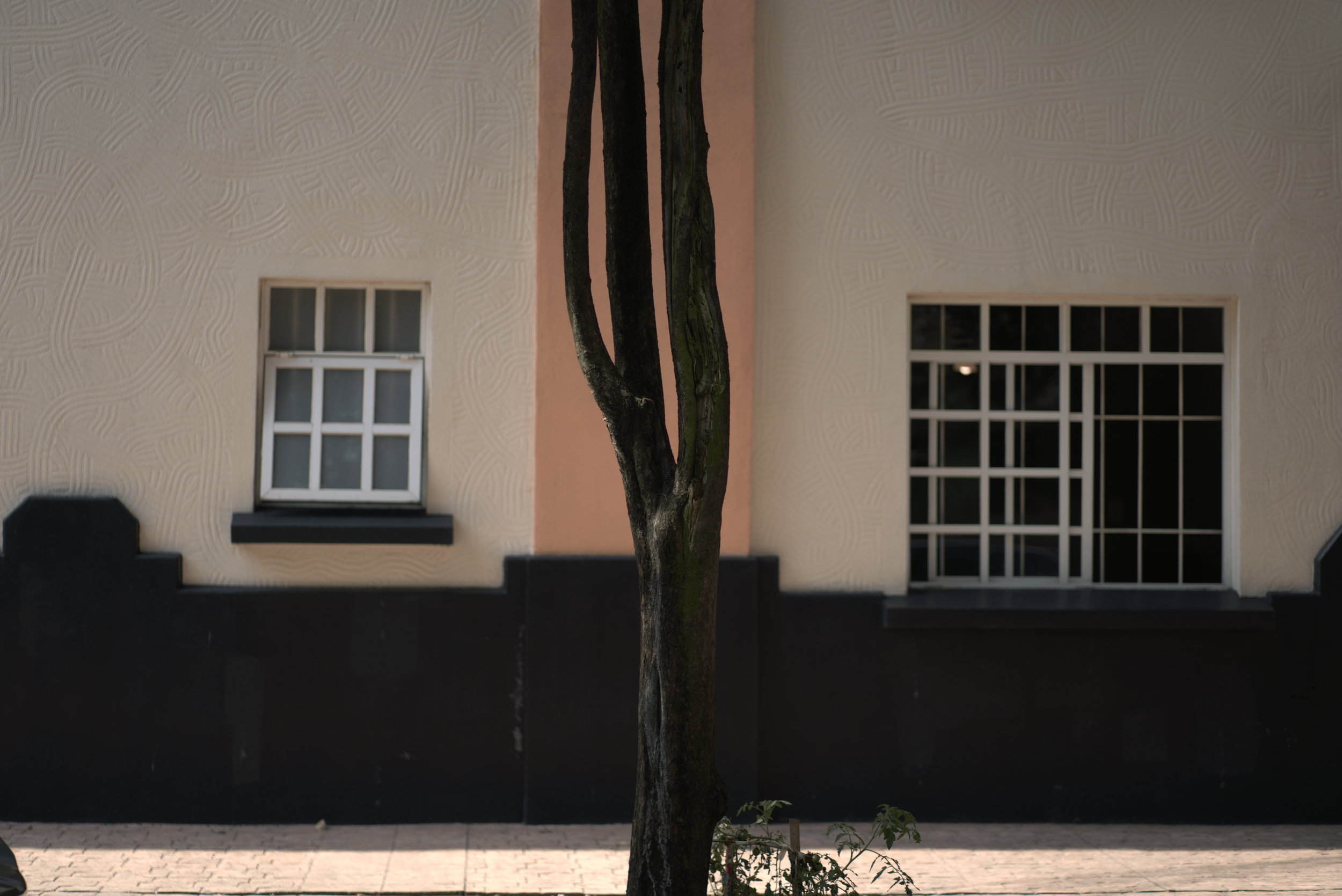 DSC09032.png