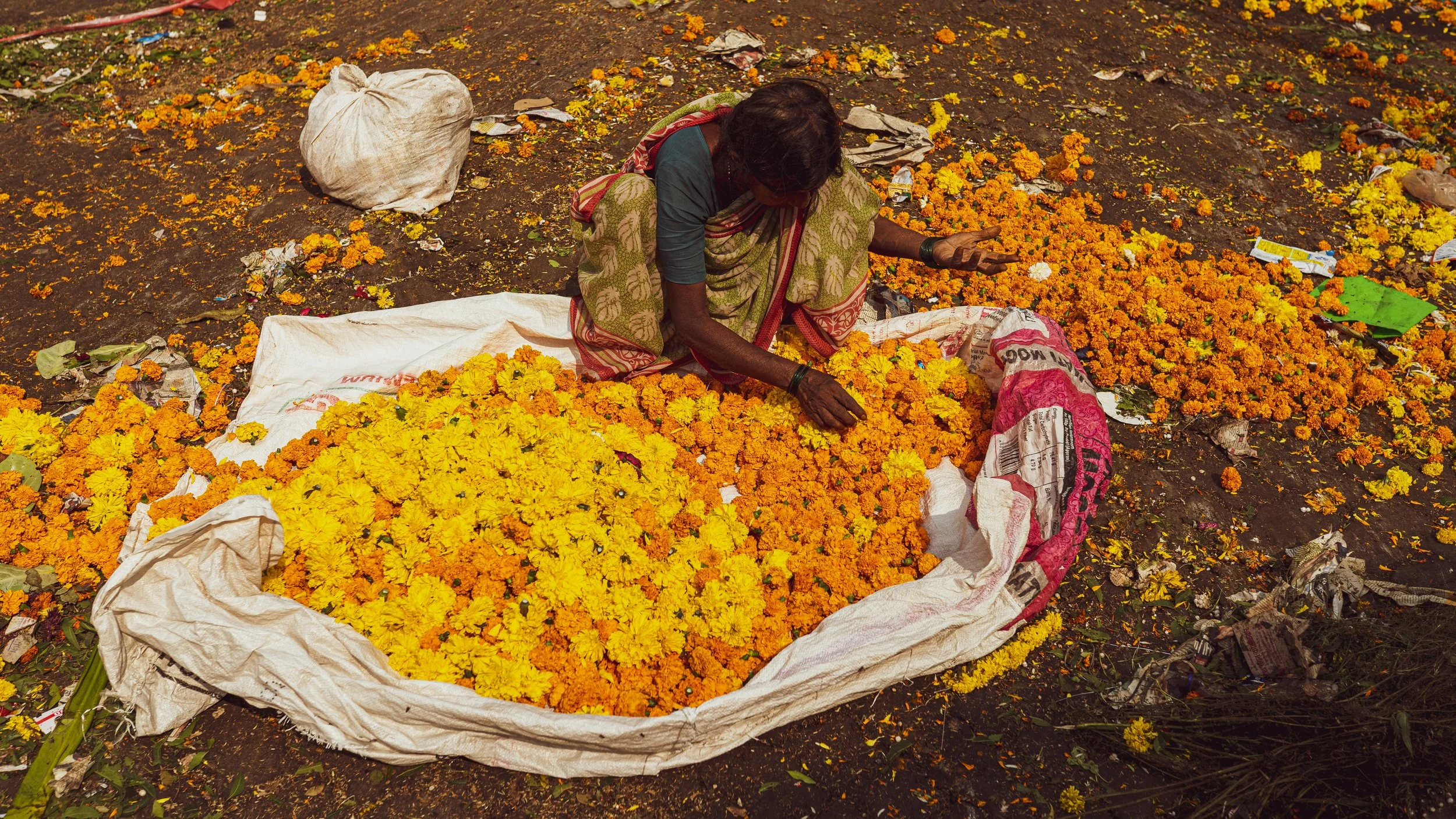 Favorites_India2019-00196.jpg