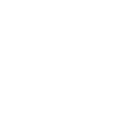 Icon of white phone symbol