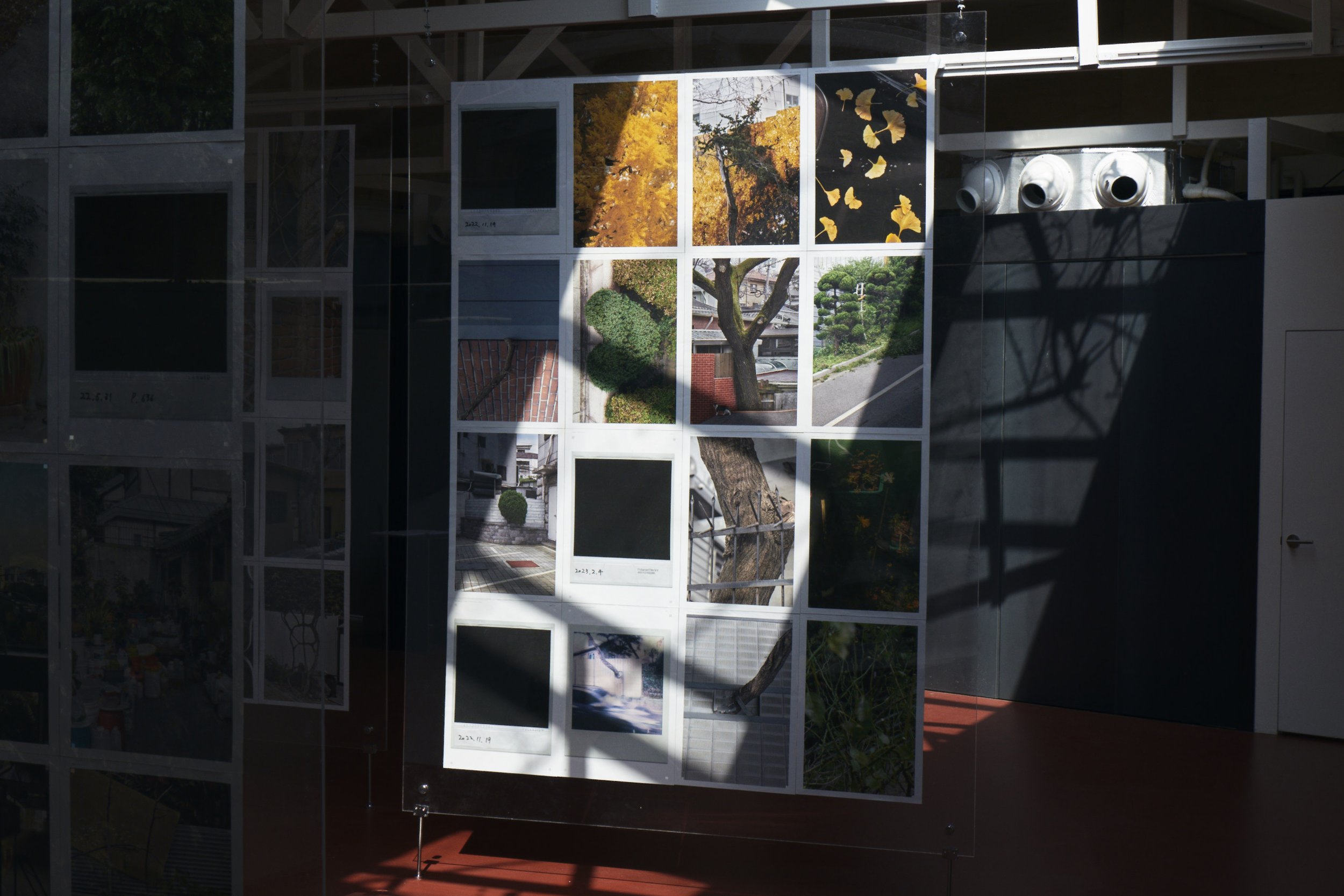 Display of photographs by Seoul based contemporary Korean Photographer Kim Sunik showcasing trees, leaves, and outdoor scenes, arranged in a grid pattern on a glass wall.