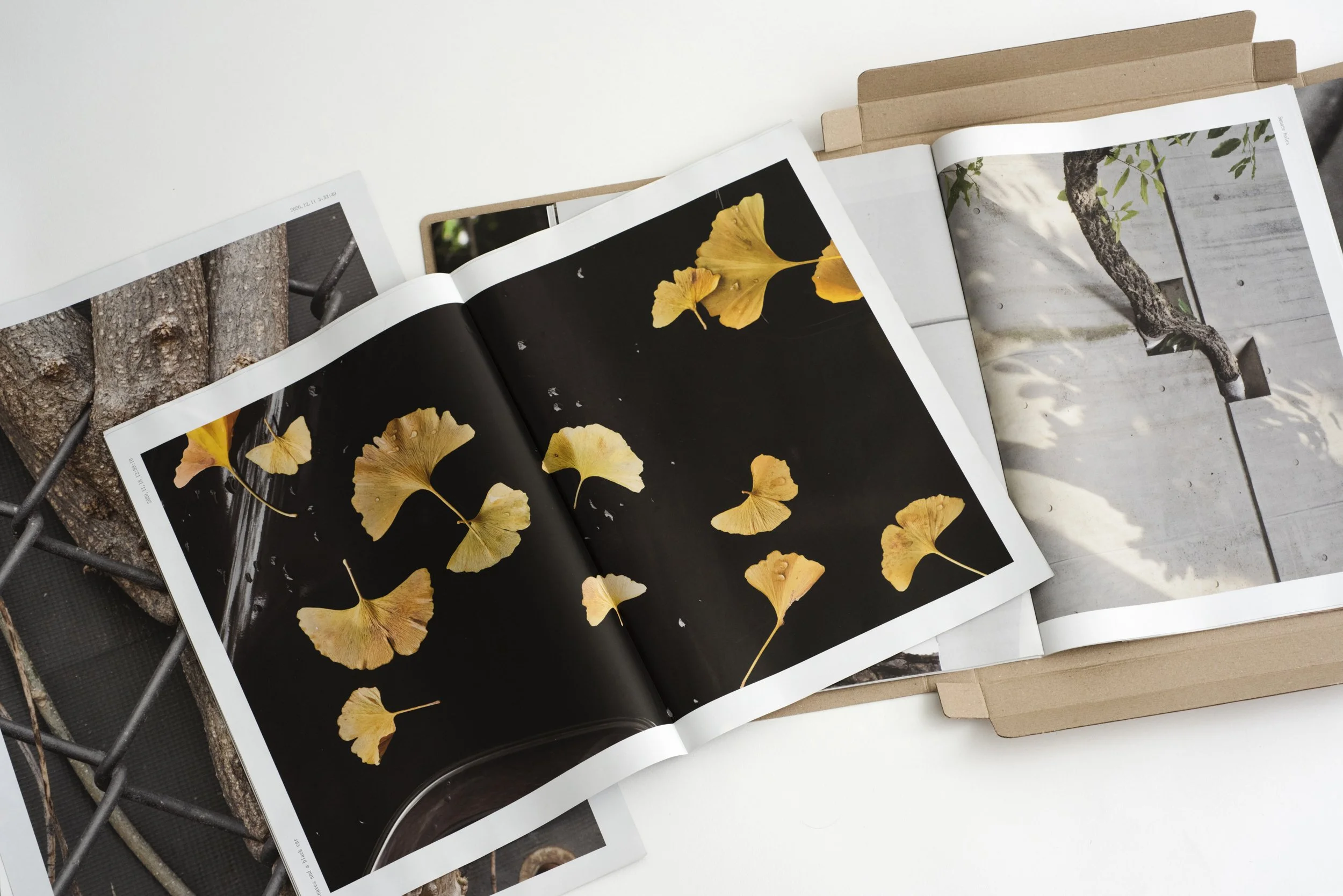 Open magazines with images of yellow ginkgo leaves floating on dark water and a twisted tree branch on a concrete surface, placed on a white table by Seoul based contemporary Korean Photographer Kim Sunik.