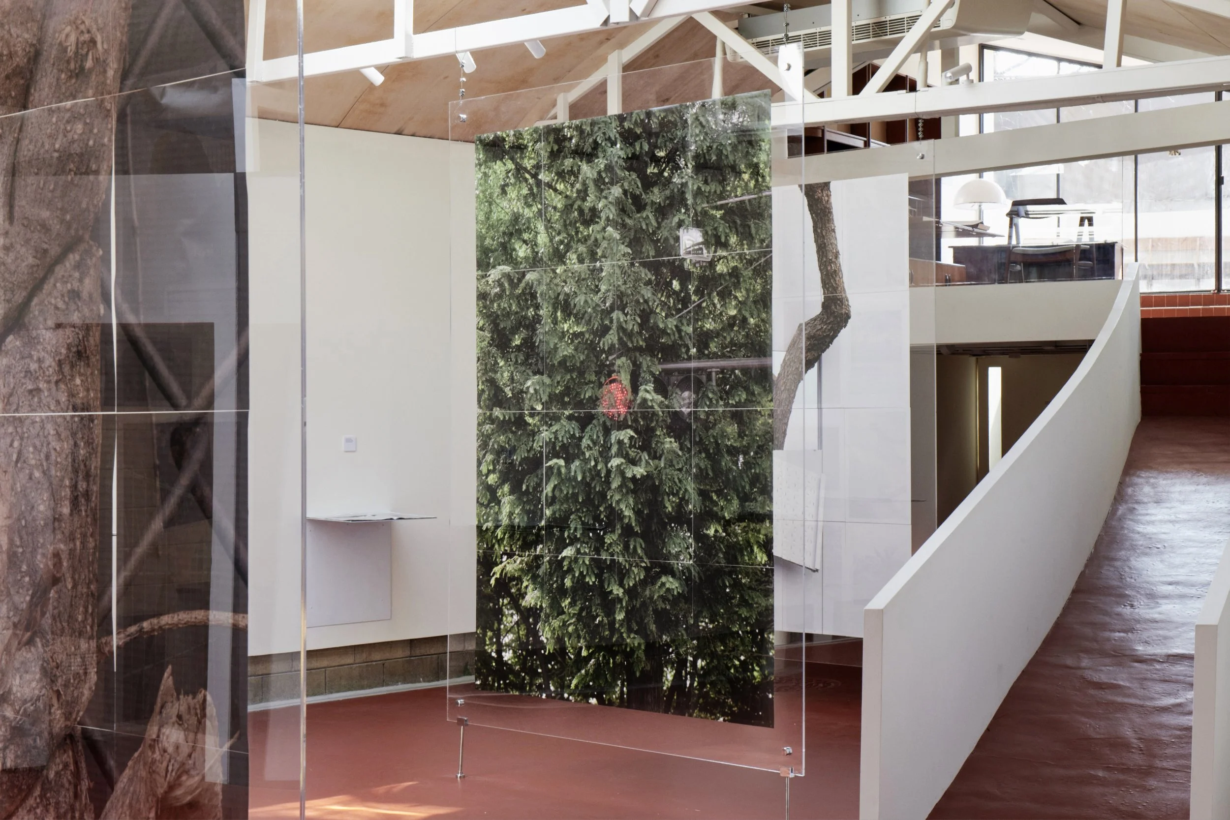 Art exhibit by Seoul based contemporary Korean Photographer featuring a large photograph of a tree with a red birdhouse, displayed on a transparent panel inside a modern gallery with white walls, wooden ceiling, and stairs leading to an upper level.