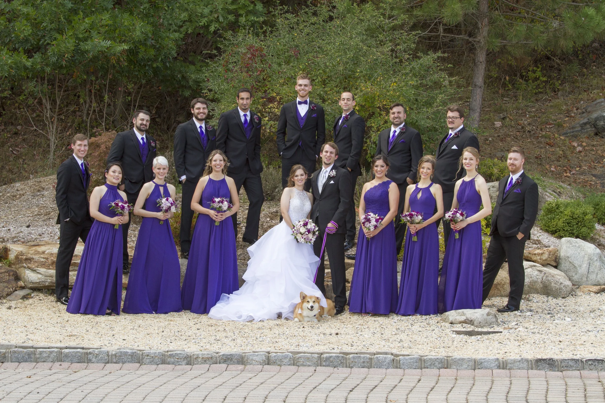 A wedding party outdoors with the bride and groom in the center, surrounded by bridesmaids in purple dresses and groomsmen in black suits with purple ties, with a dog sitting in front of the bride and groom at the Views at Mount Fuji.