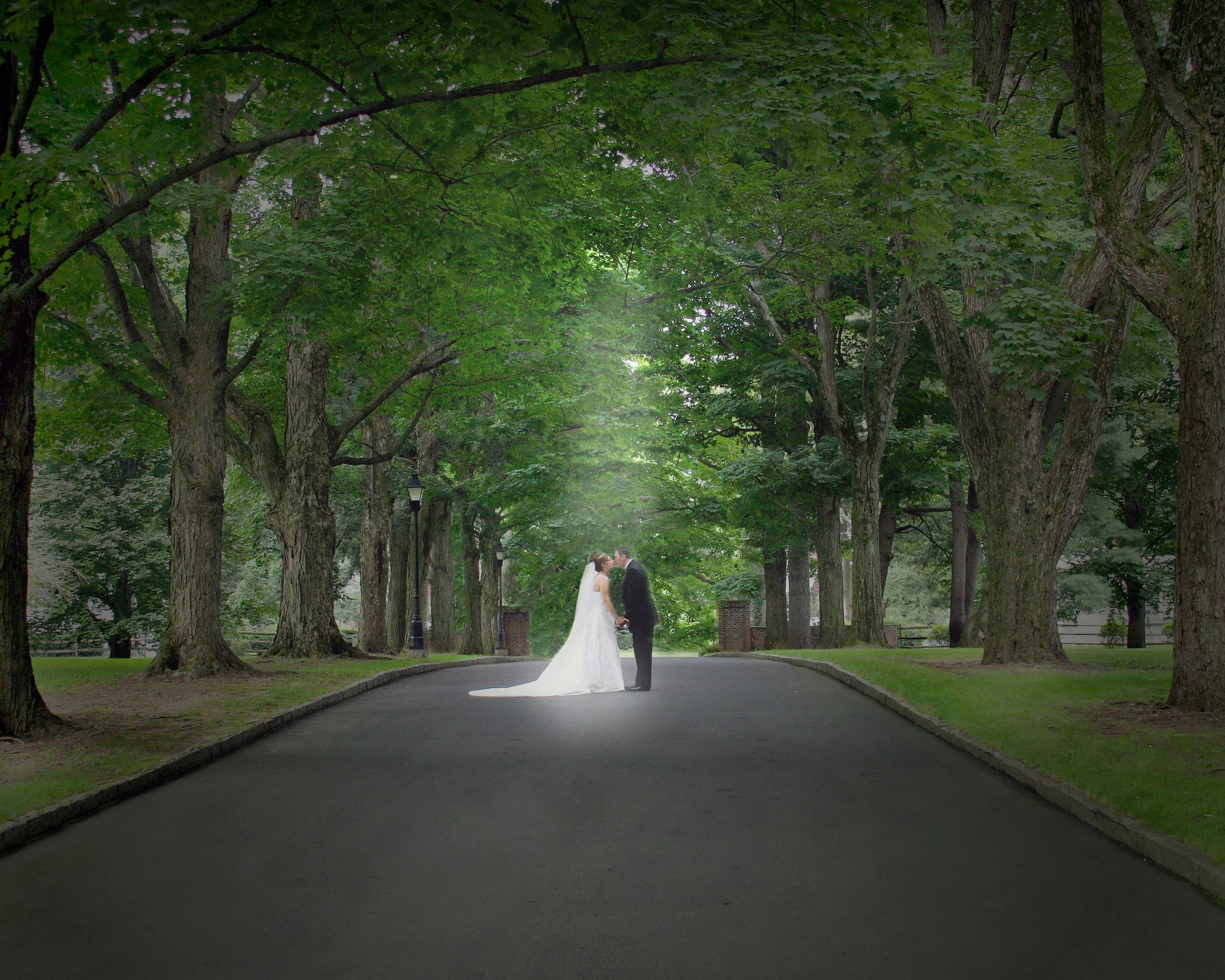 A bride and groom holding hands and kissing in the middle of a tree-lined paved path in a park.