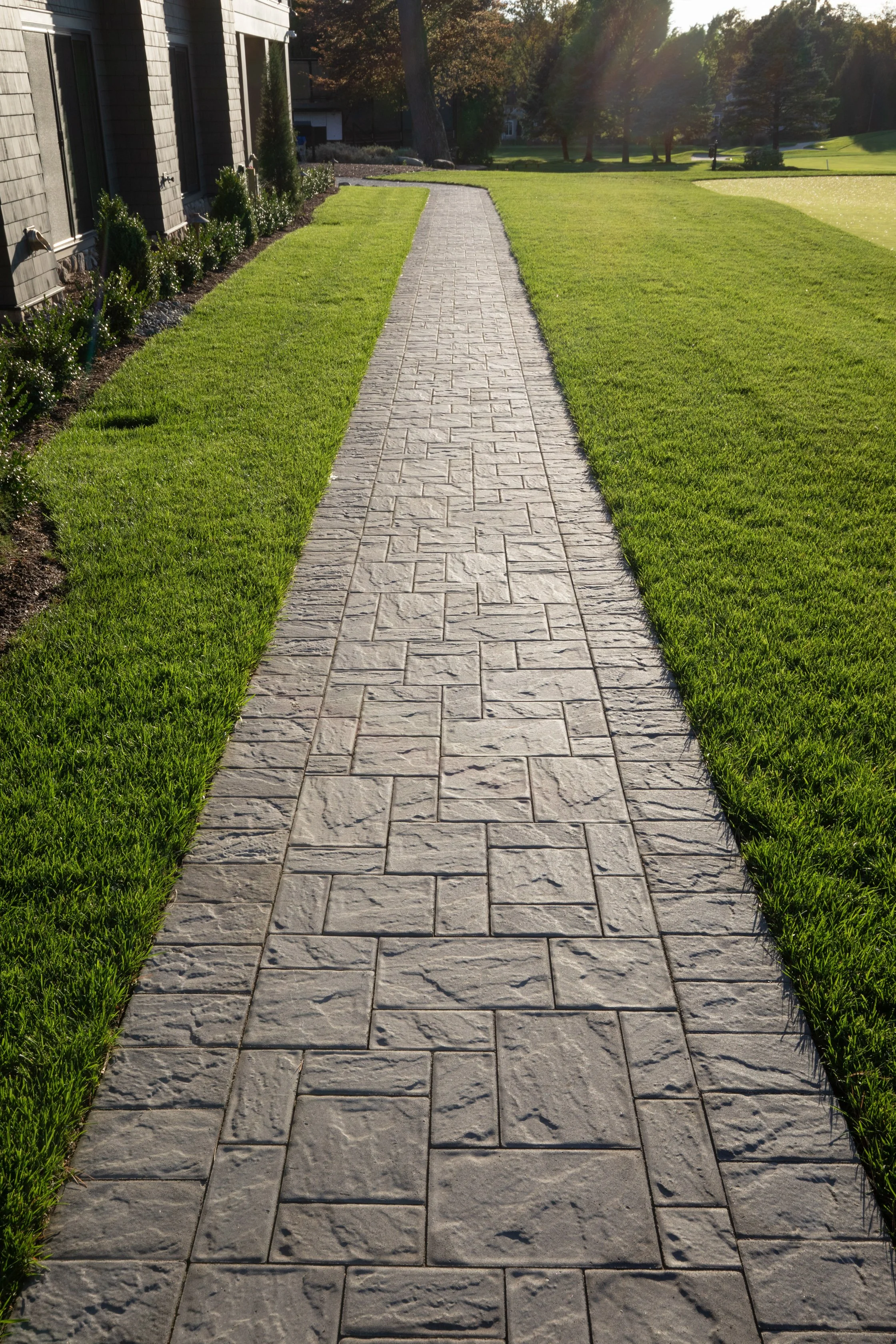 A paved sidewalk runs through a well-maintained green lawn next to a building, with trees in the background and sunlight casting shadows.