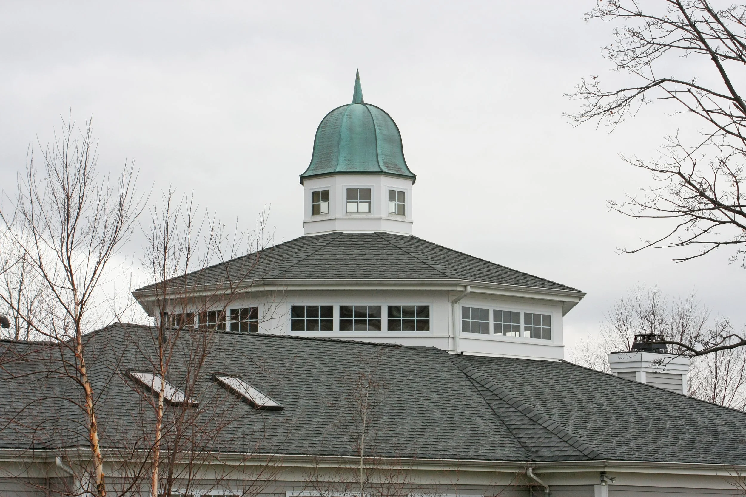 Close-up of a building's roof with a small tower featuring a rounded green roof and windows, surrounded by leafless trees on a cloudy day.
