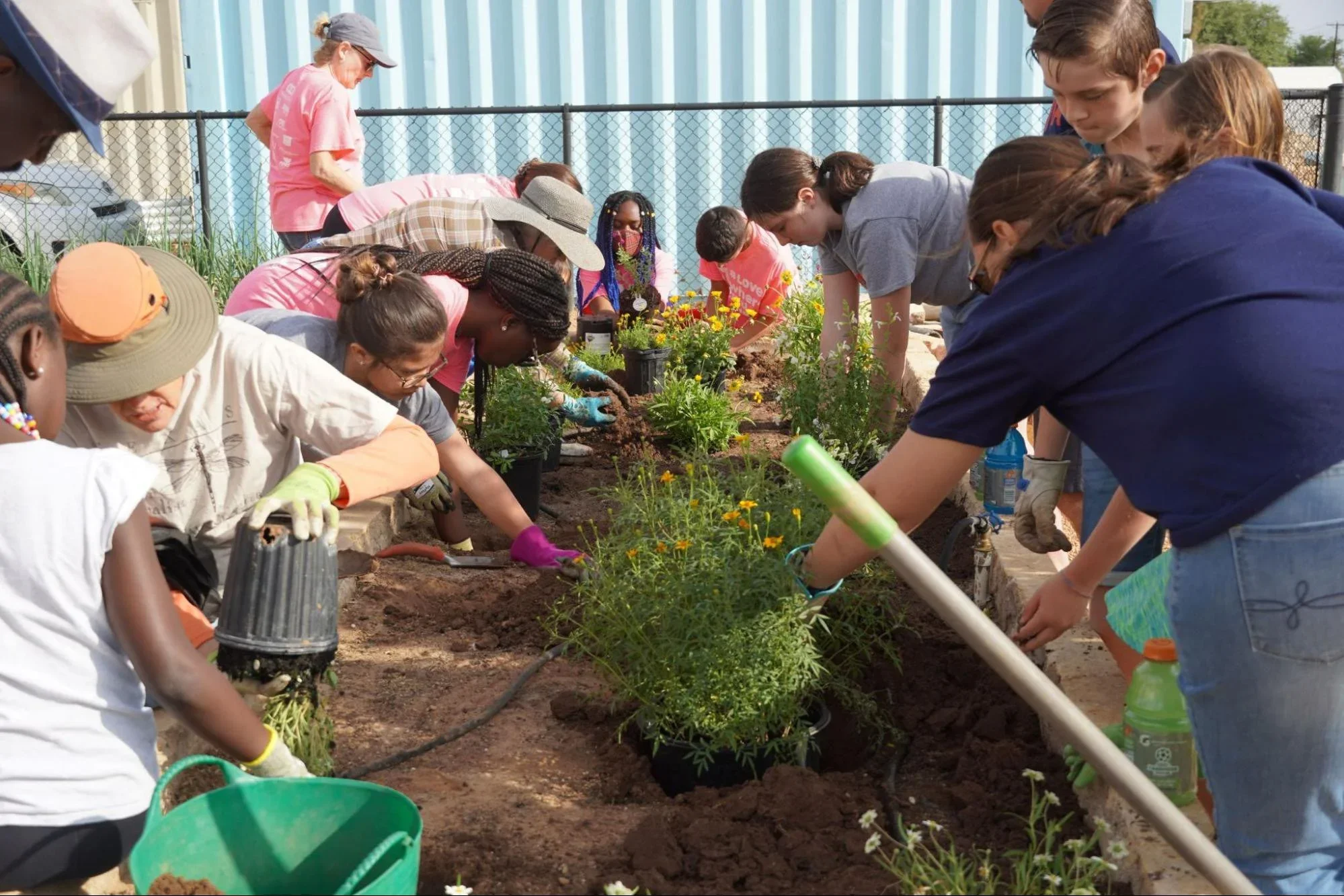 Group of diverse children and adults planting flowers and gardening in a community garden bed.