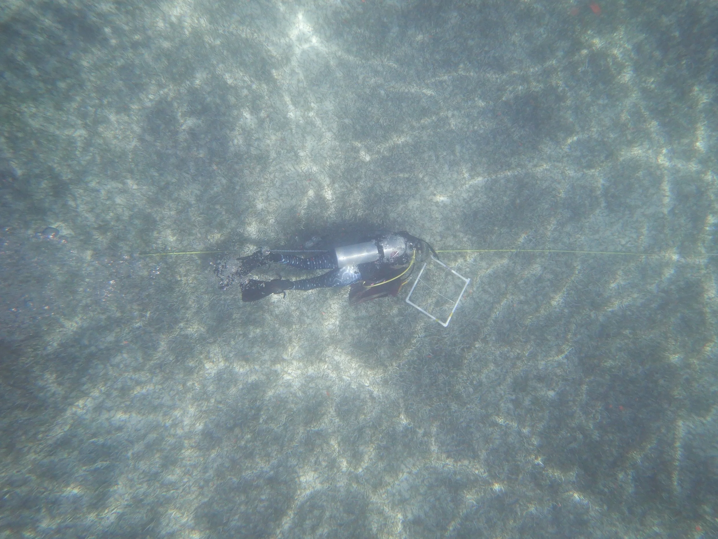 DSCN7992.JPG