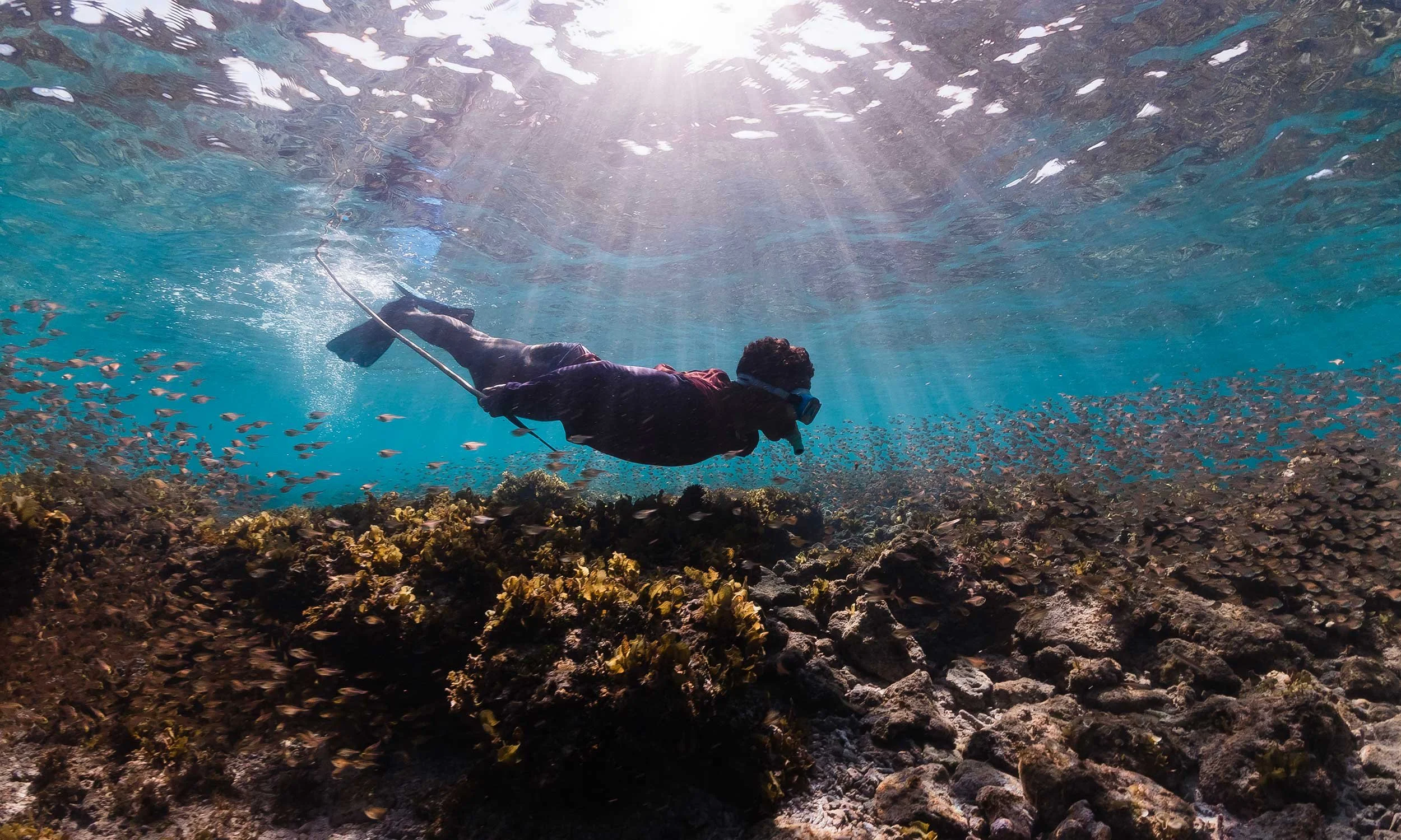 A person snorkeling underwater, wearing a mask and fins, swimming above a coral reef with a school of fish in the background, sunlight filtering through the water.