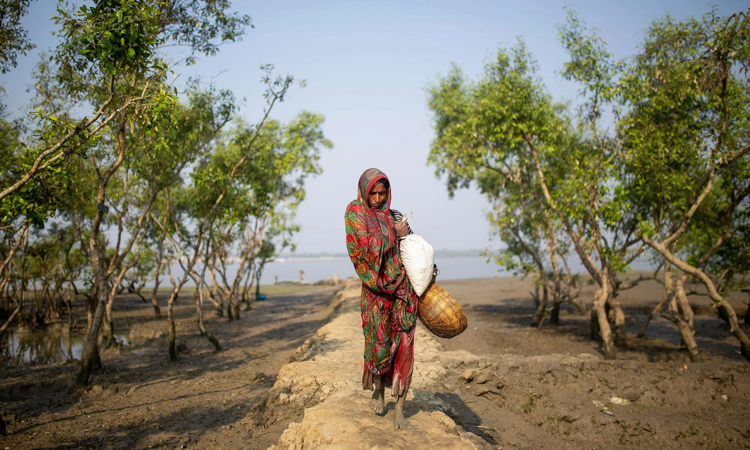 A woman wearing a colorful patterned garment carrying a bag and a basket walking along a mud path between mangroves near the ocean under a clear sky.