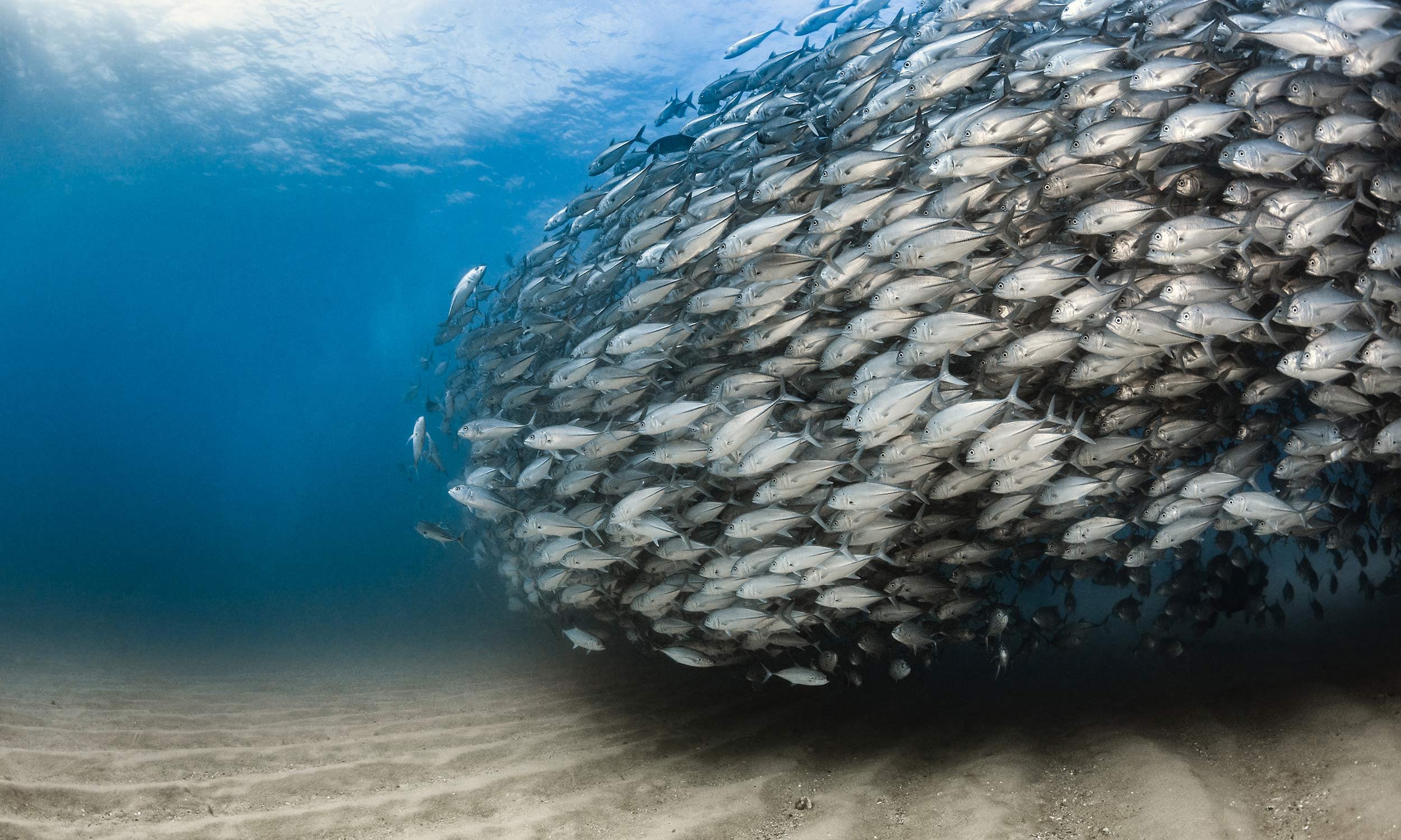 Supercharging ocean-climate action • ORCA • Ocean Resilience and ...