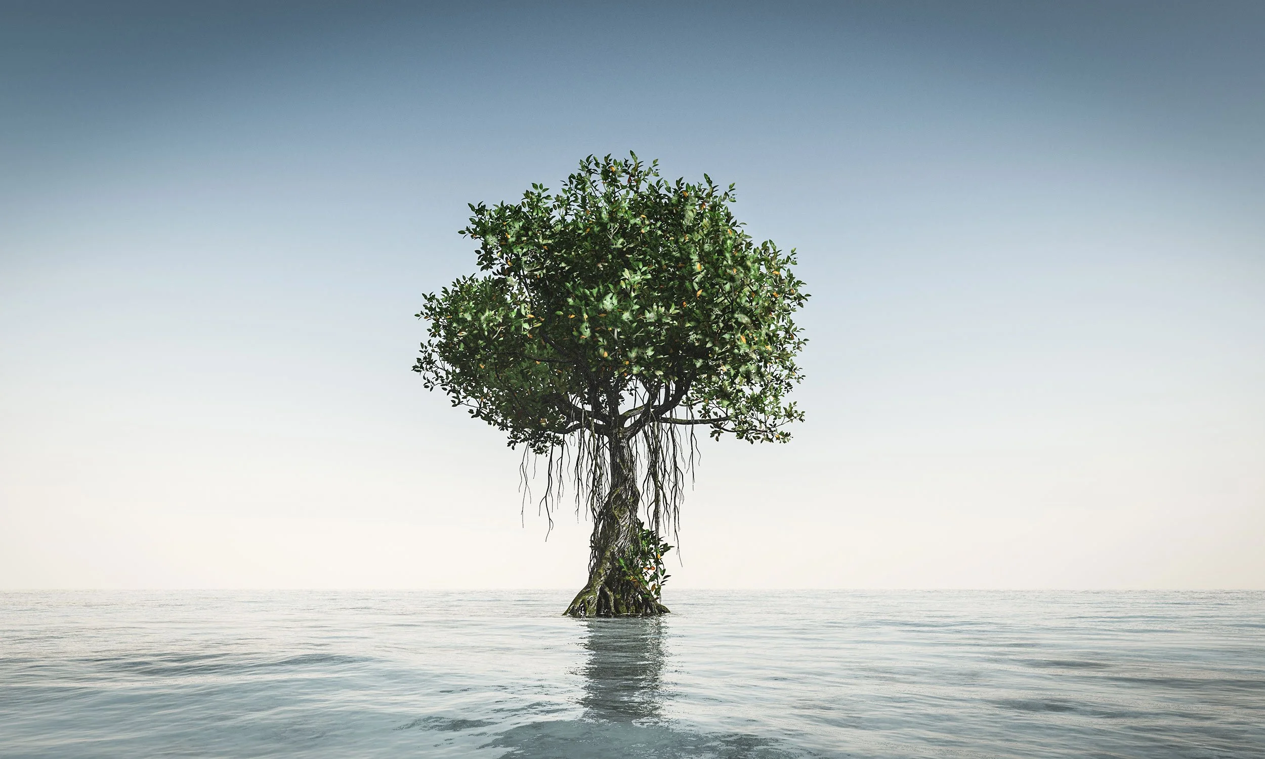 A solitary mangrove tree rising from calm ocean waters with a clear sky background.