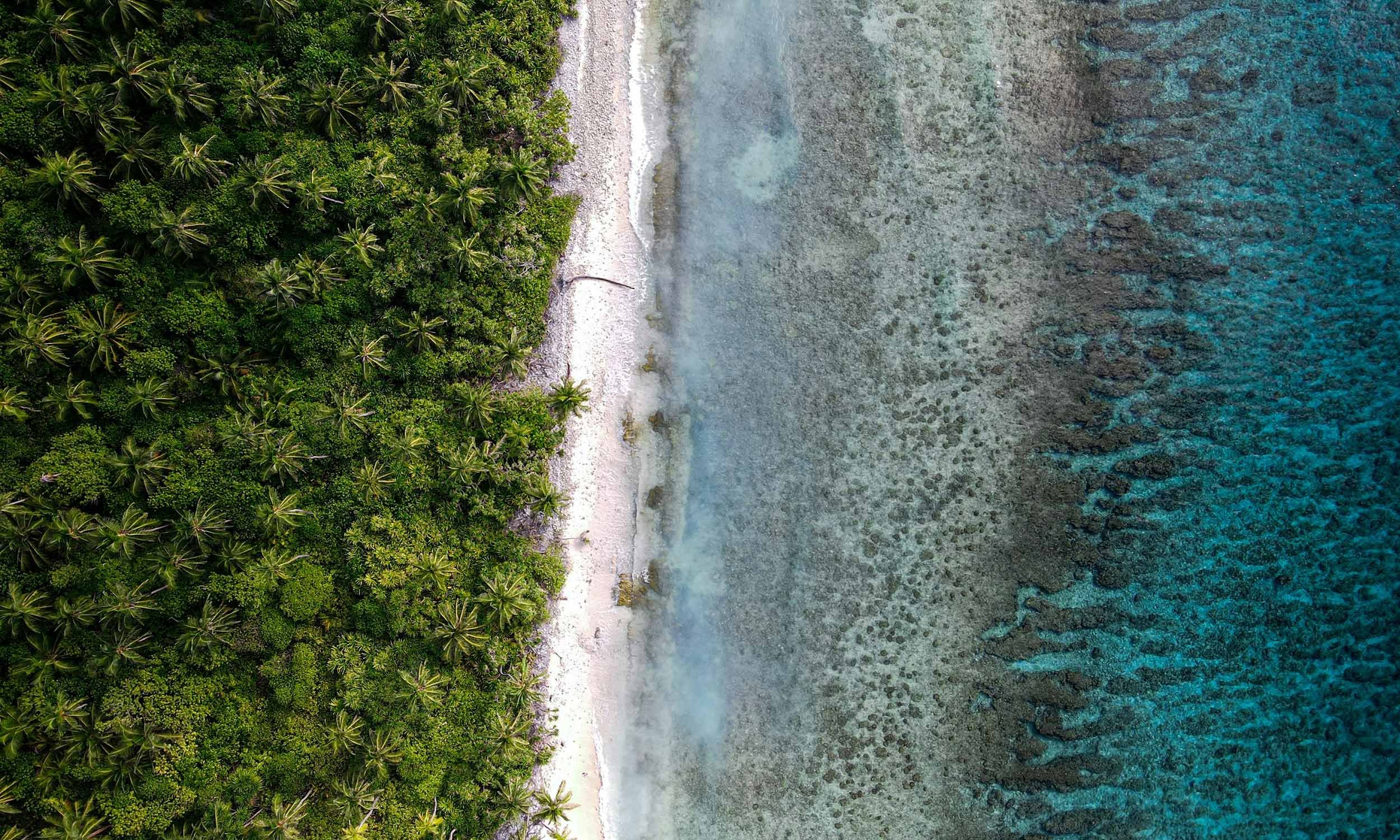 An aerial view of a lush green tropical forest meeting a white sandy beach with clear blue water.