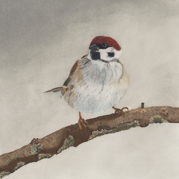 Winter Chill. 
Medium: PanPastel and Derwent Pastel pencils on paper.
Size: 20cm x 20cm
Reference: iStock photo by Nataba