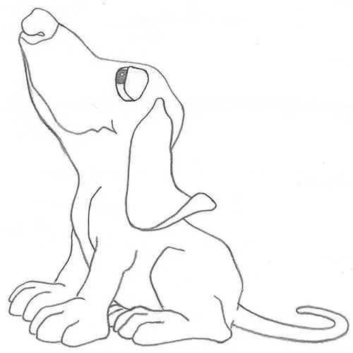 A line drawing of a dog with large paws, sitting and looking upward.