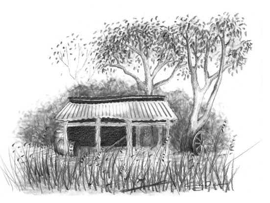 The Old Hay Shed - Ferny's Cafe and Espresso Bar