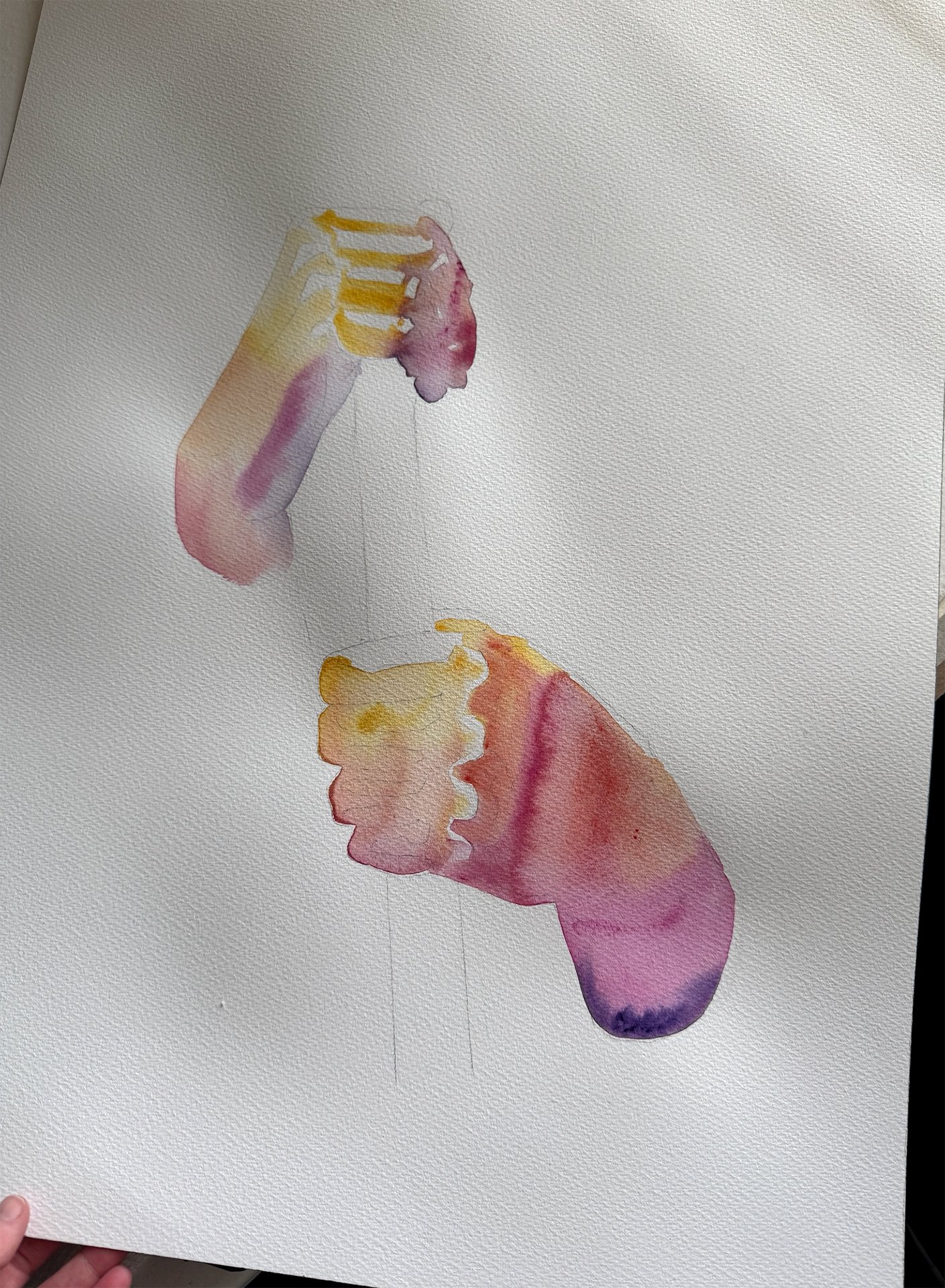 Screenshot 2026-02-20 at 11.45.26 AM.jpg