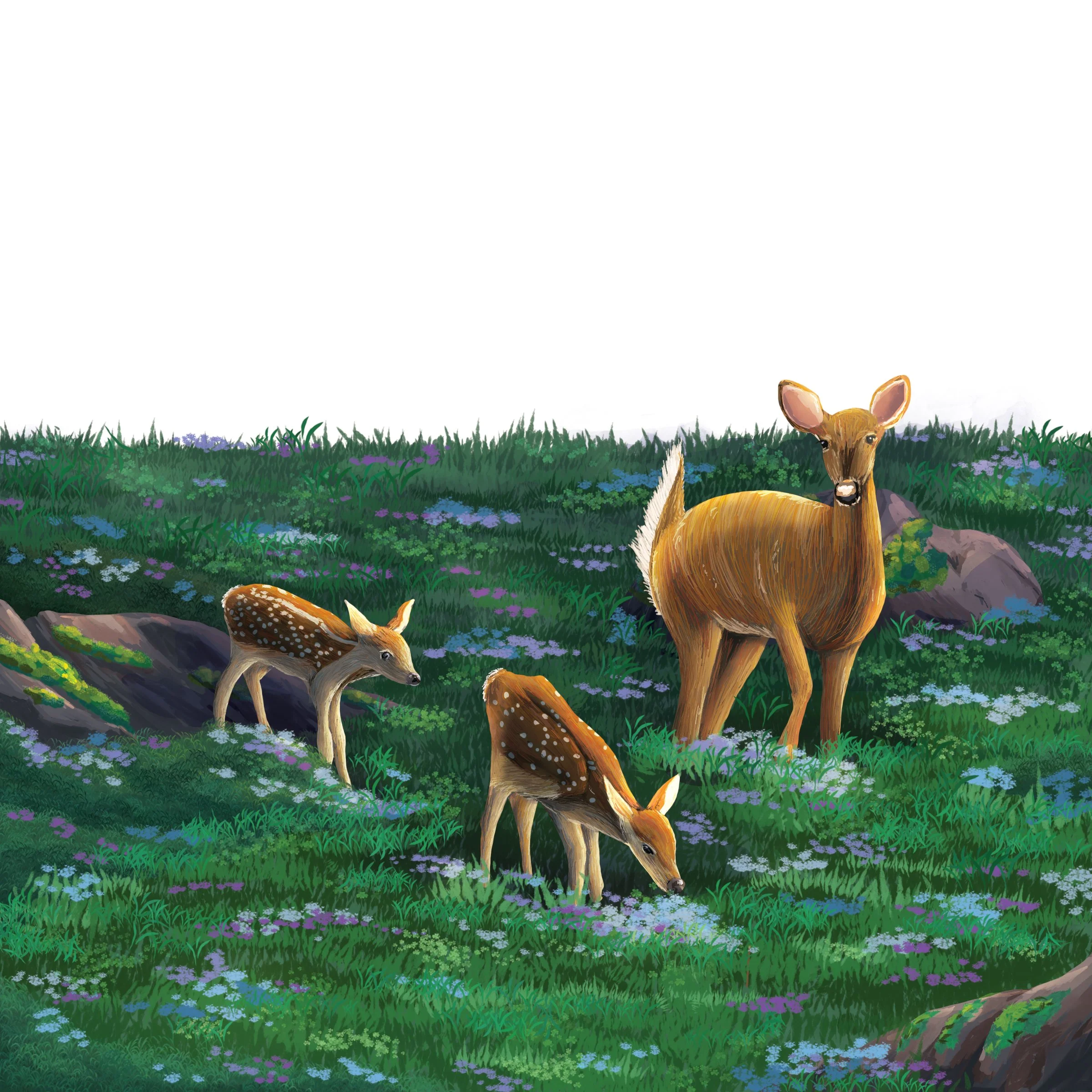 One of the Lucky Ones