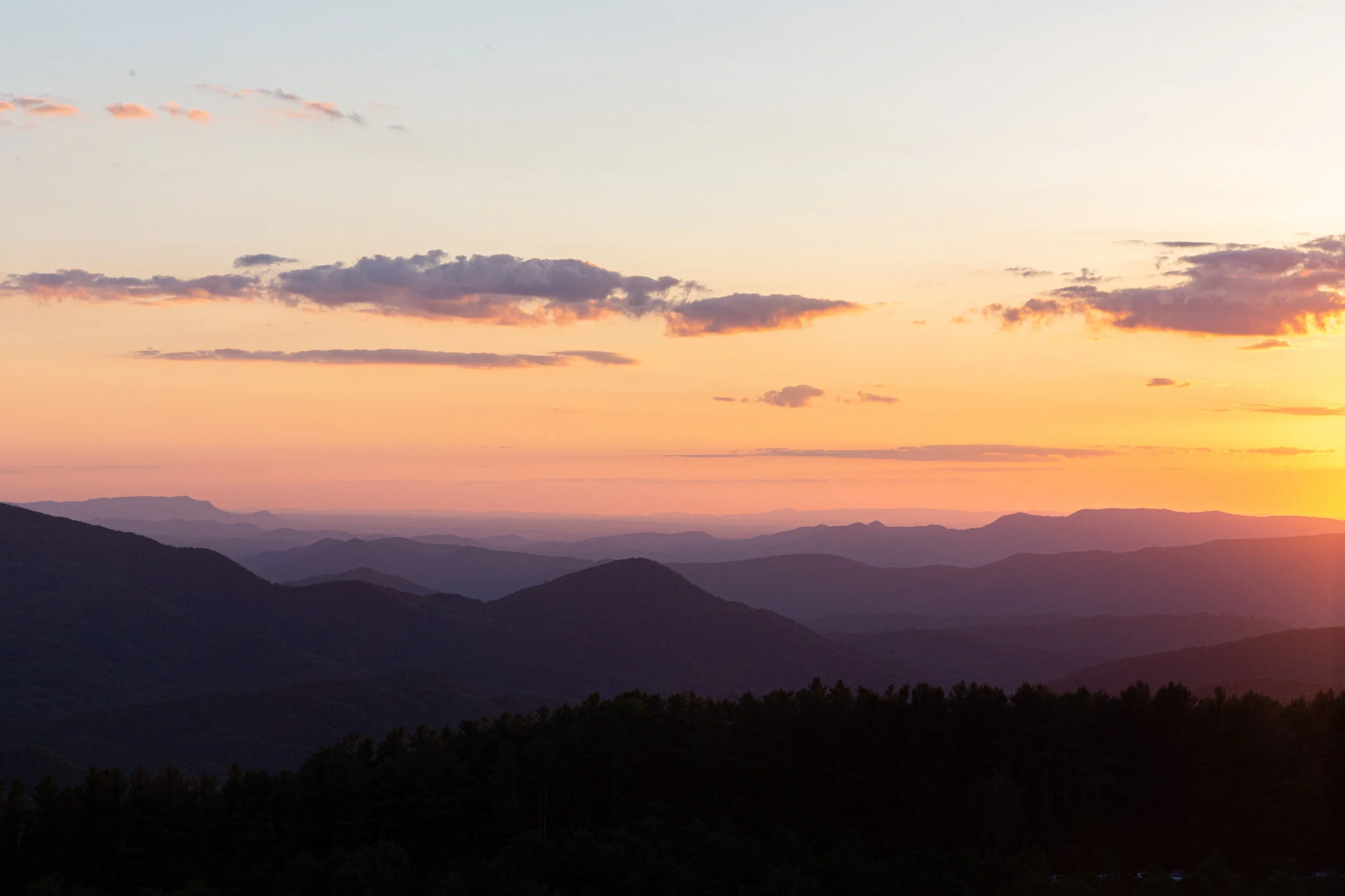 Max's Patch North Carolina Photography-21.jpg