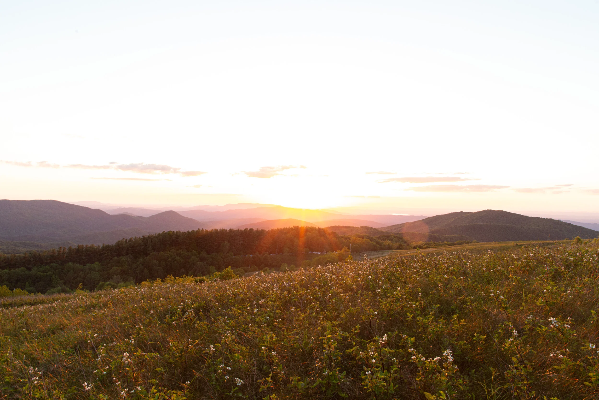 Max's Patch North Carolina Photography-19.jpg