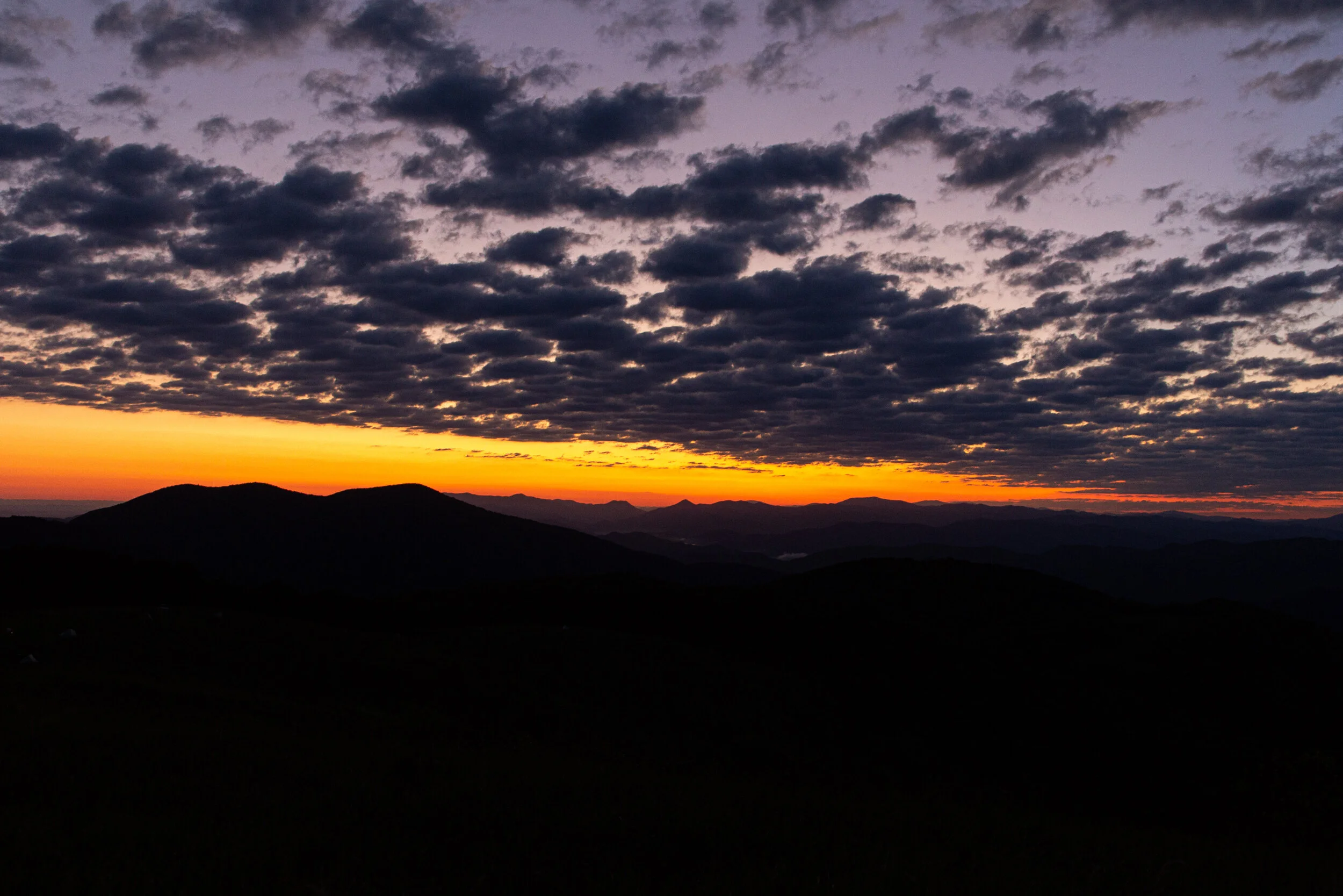 Max's Patch North Carolina Photography-30.jpg