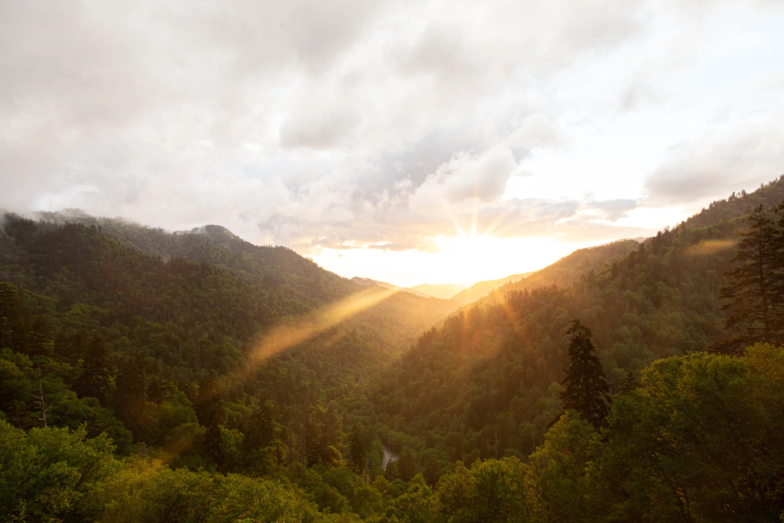 Great Smoky Mountains Photography-38.jpg