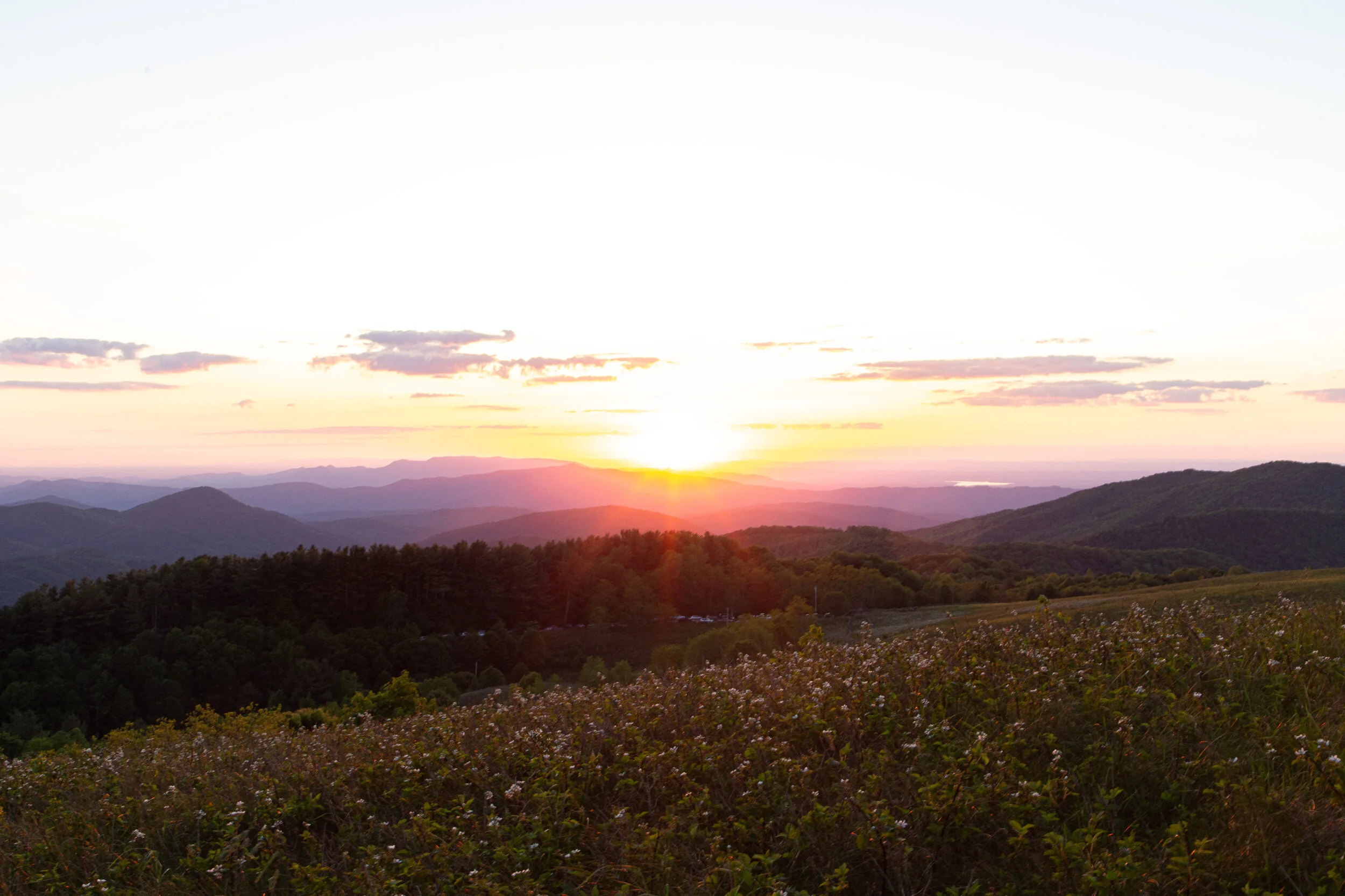Max's Patch North Carolina Photography-25.jpg