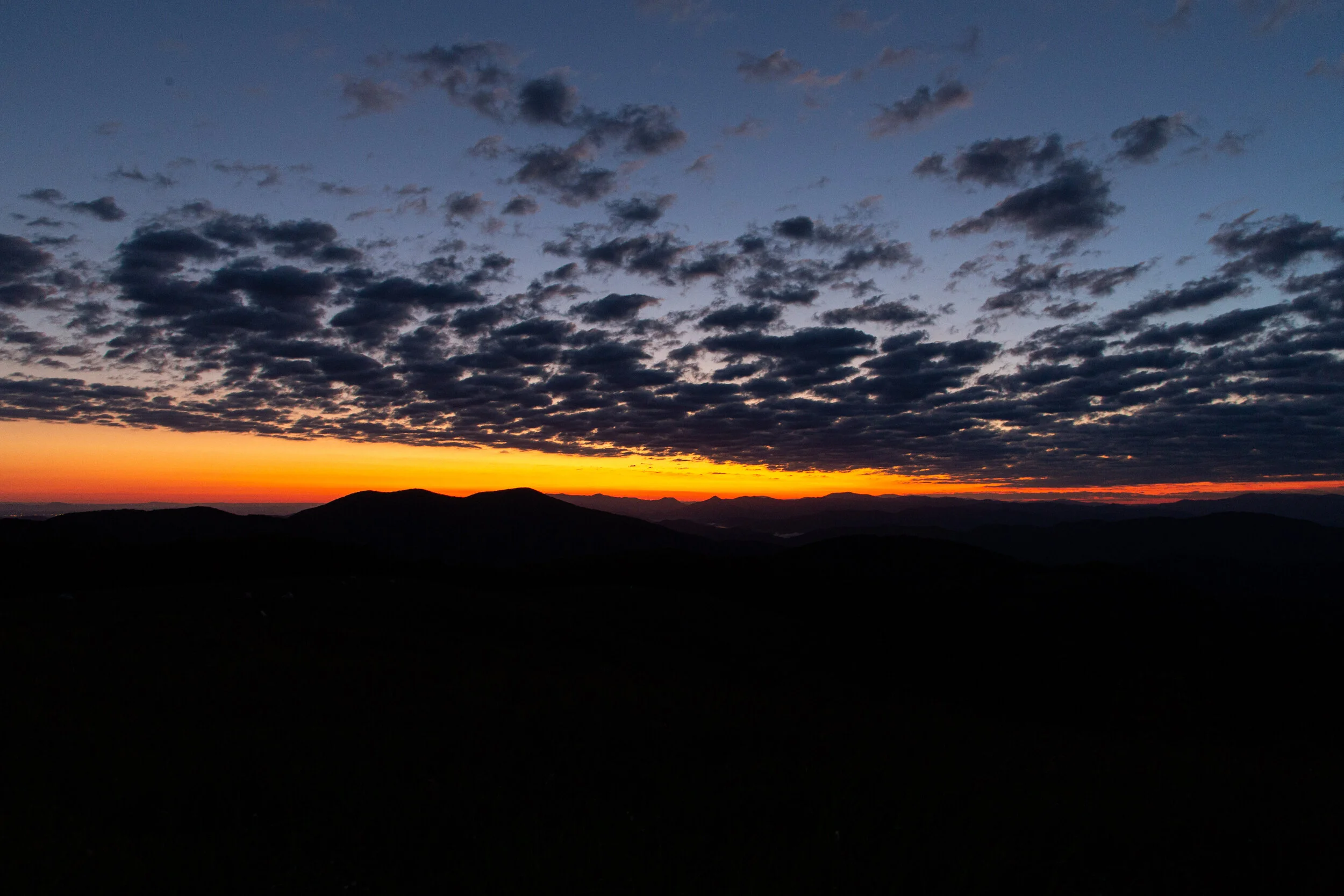 Max's Patch North Carolina Photography-28.jpg