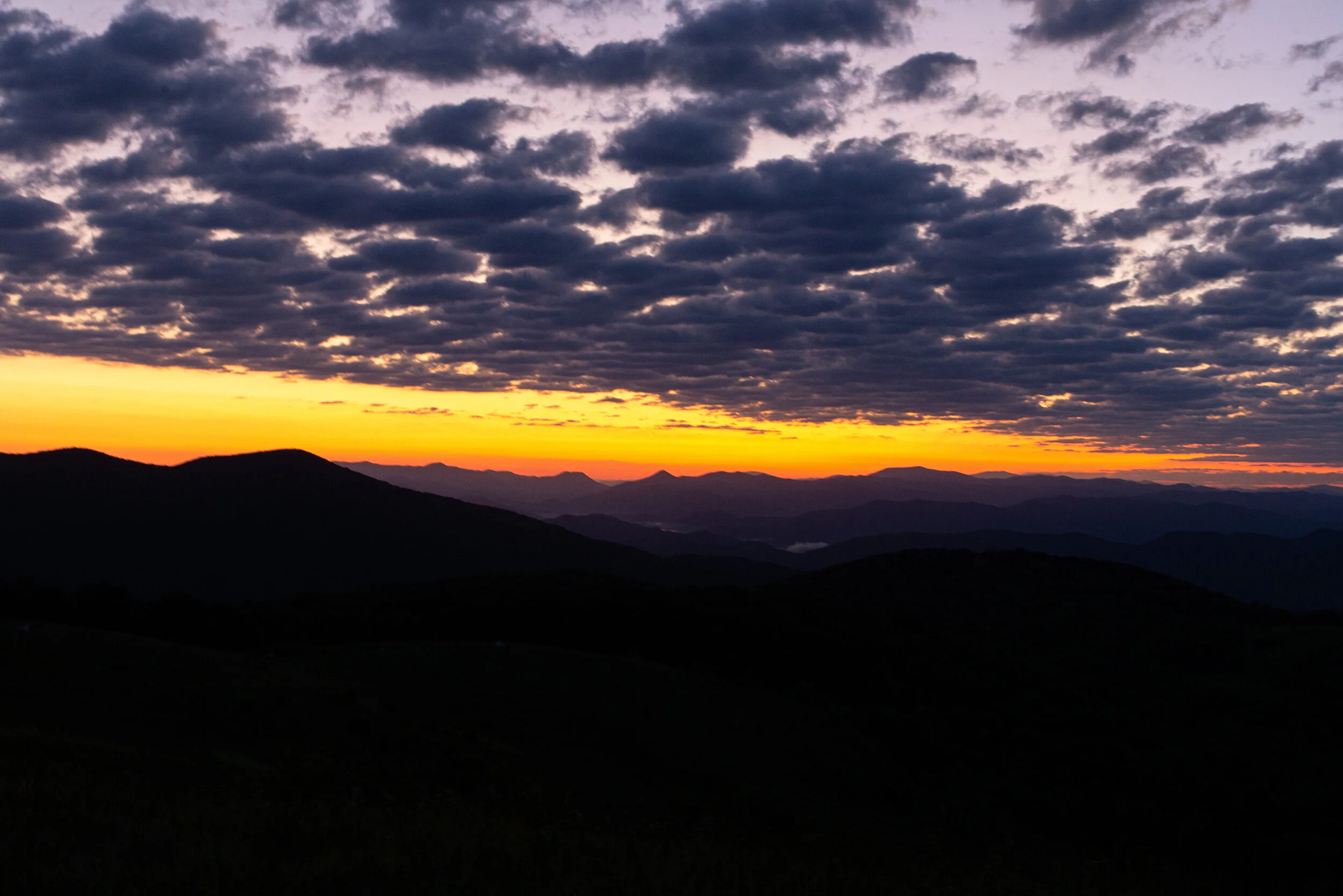 Max's Patch North Carolina Photography-29.jpg