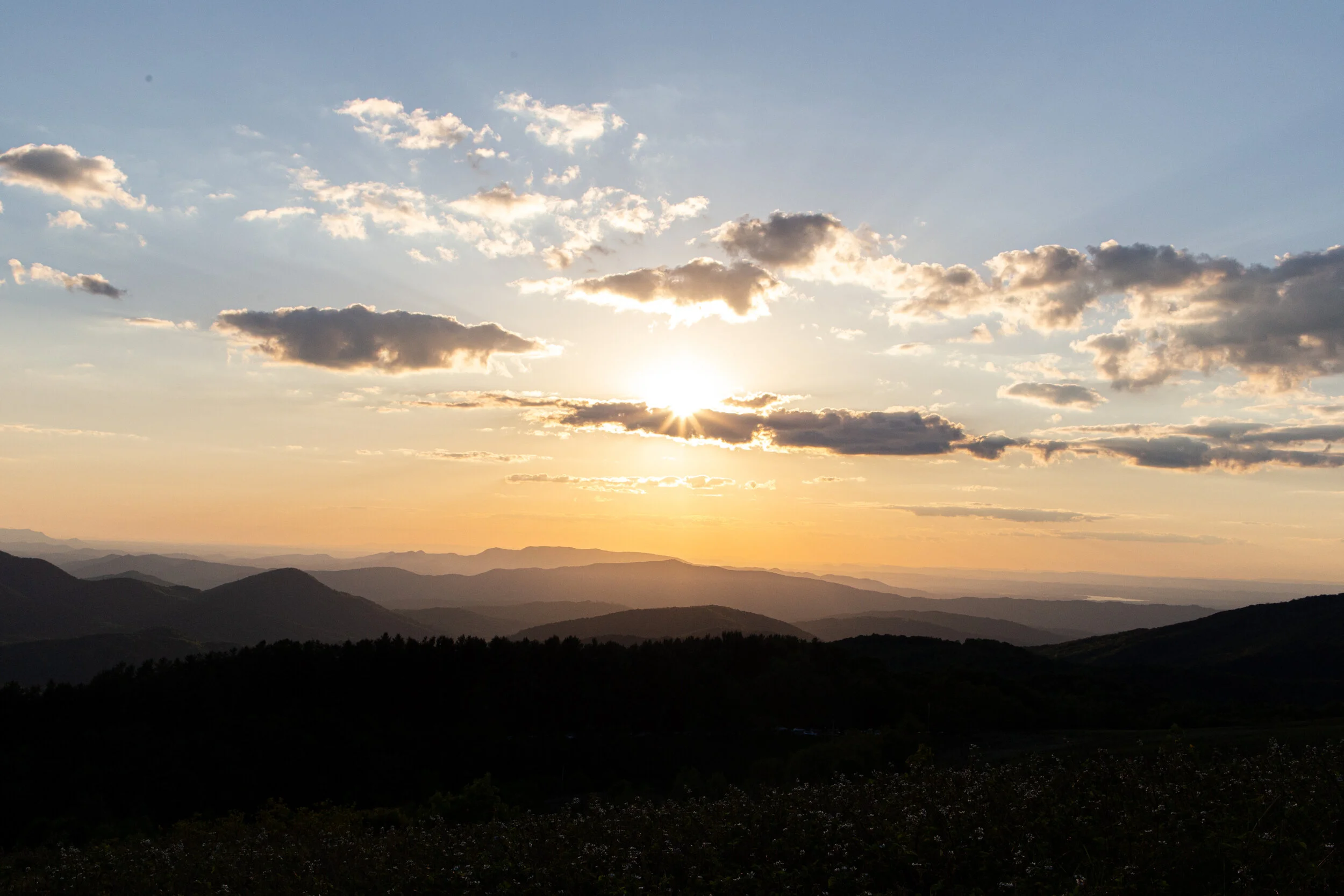 Max's Patch North Carolina Photography-10.jpg