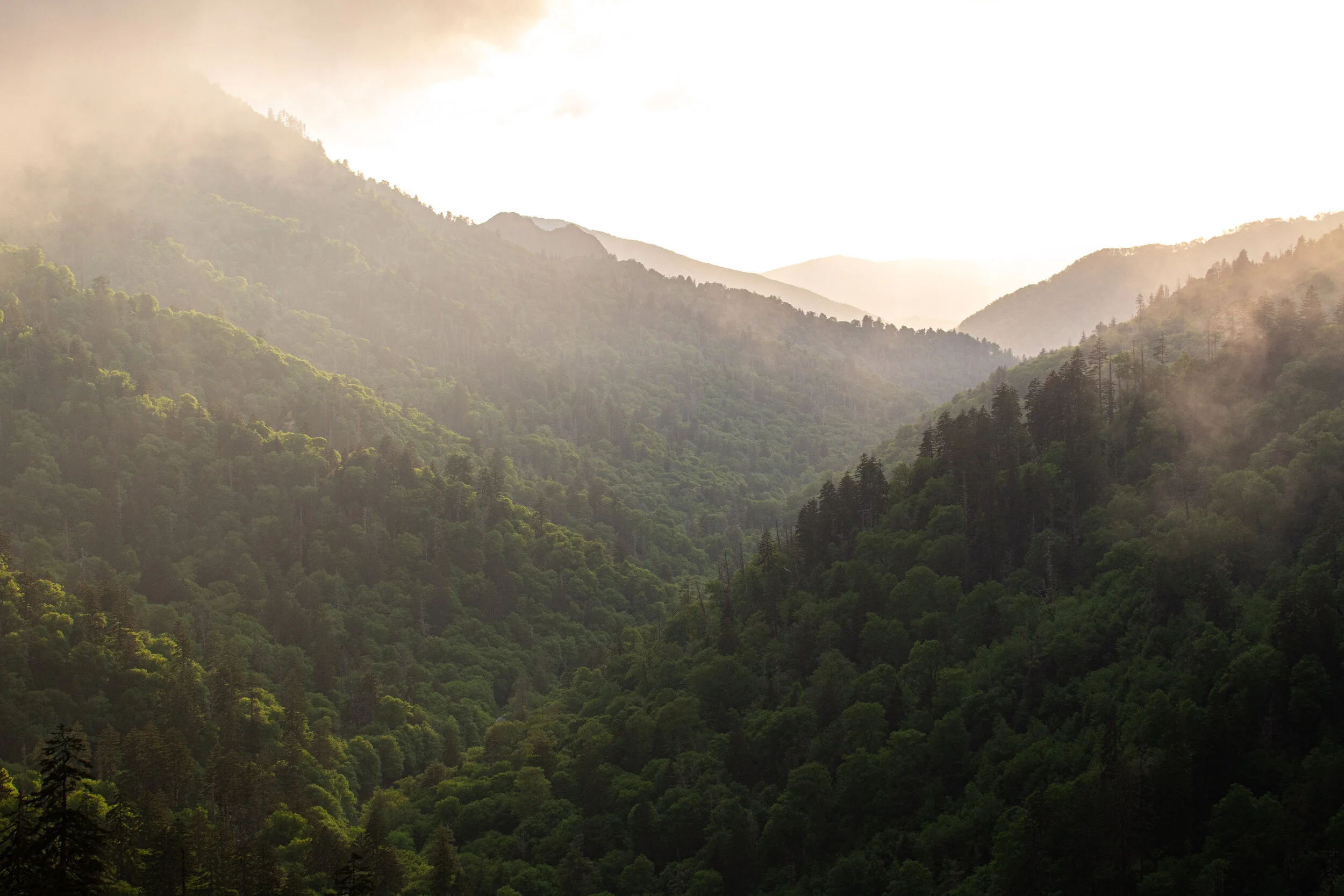 Great Smoky Mountains Photography-34.jpg