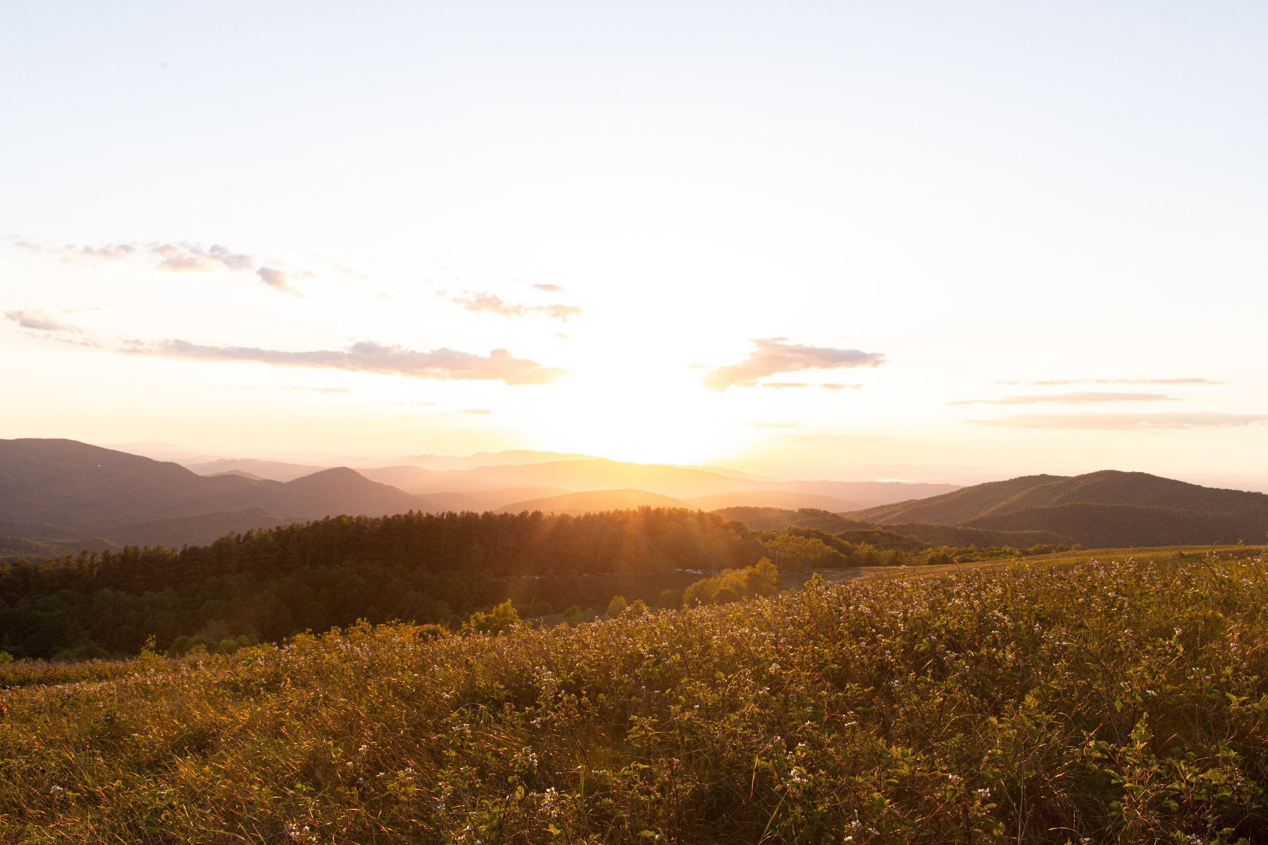 Max's Patch North Carolina Photography-14.jpg