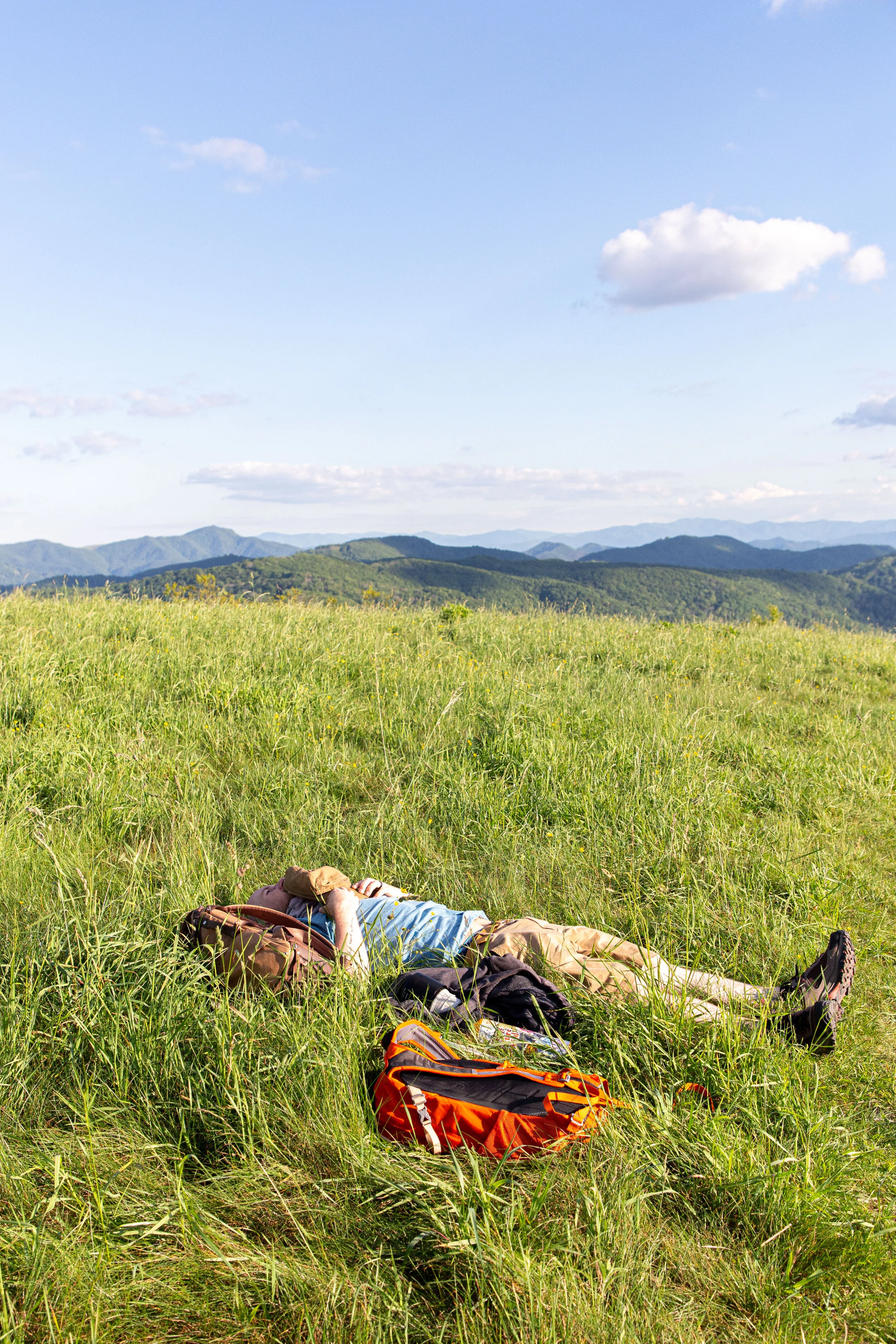 Max's Patch North Carolina Photography-5.jpg