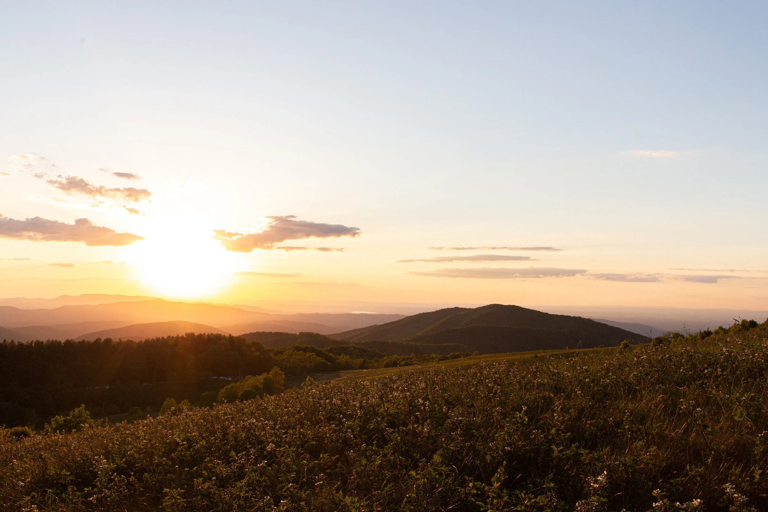 Max's Patch North Carolina Photography-13.jpg