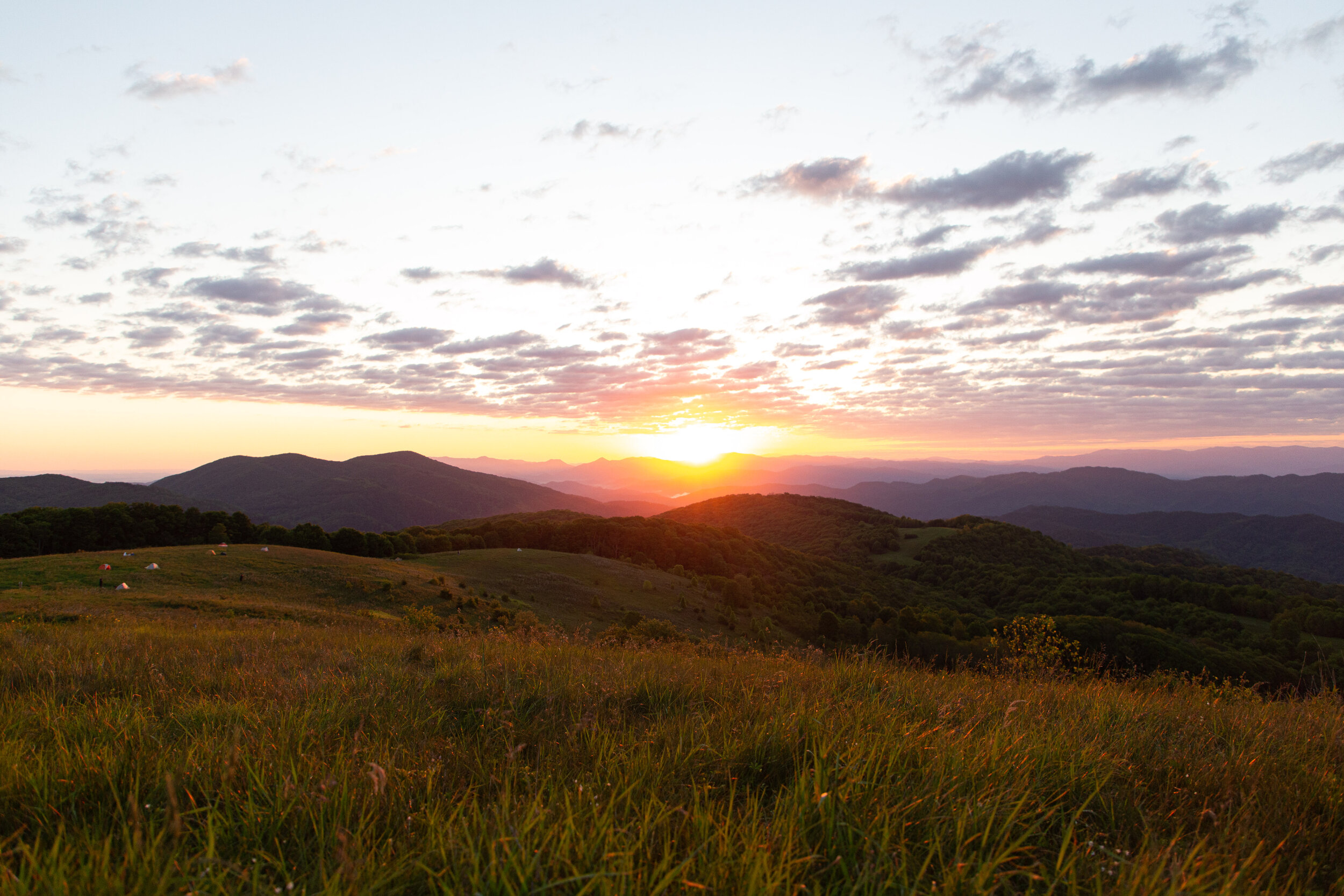 Max's Patch North Carolina Photography-39.jpg