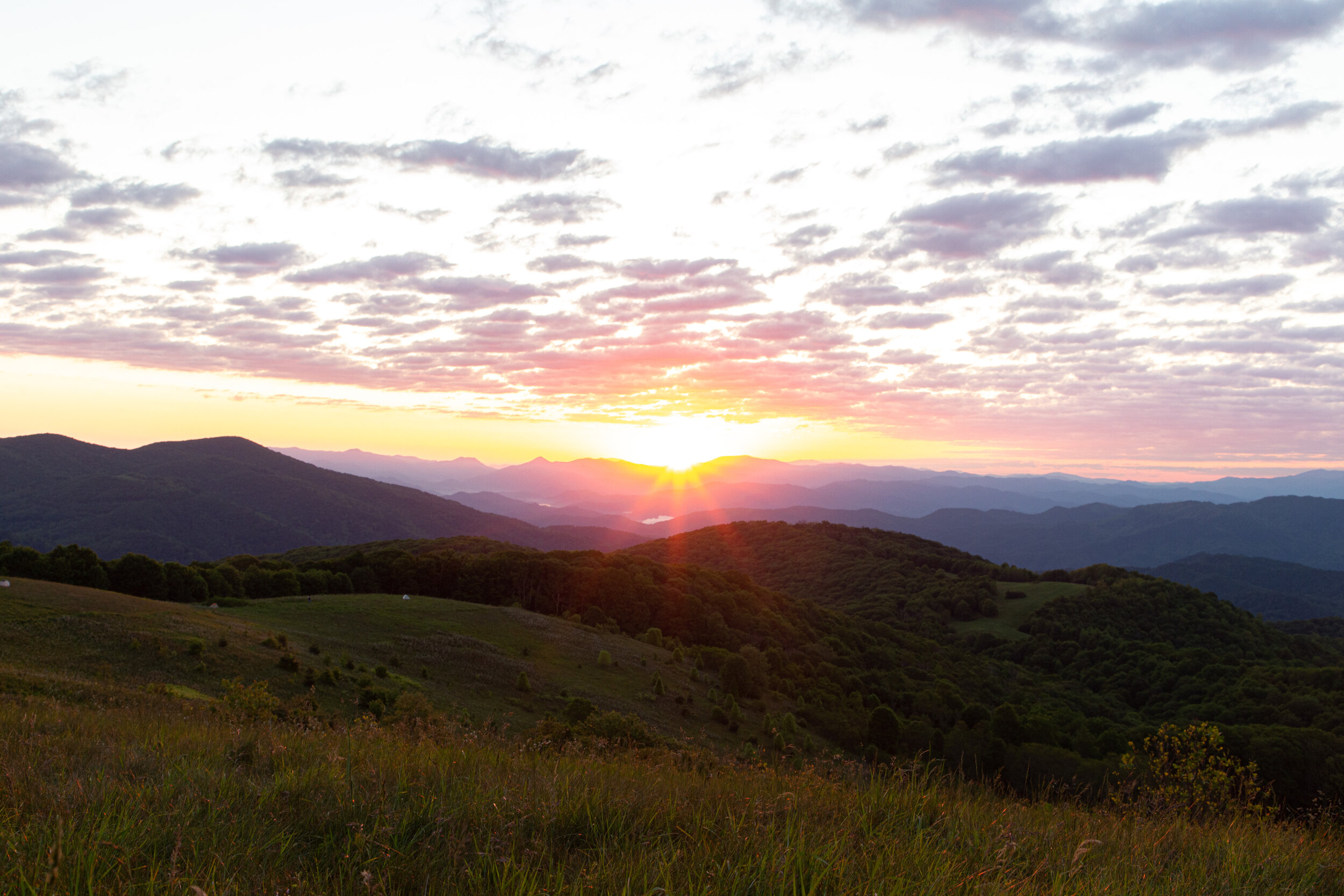 Max's Patch North Carolina Photography-34.jpg
