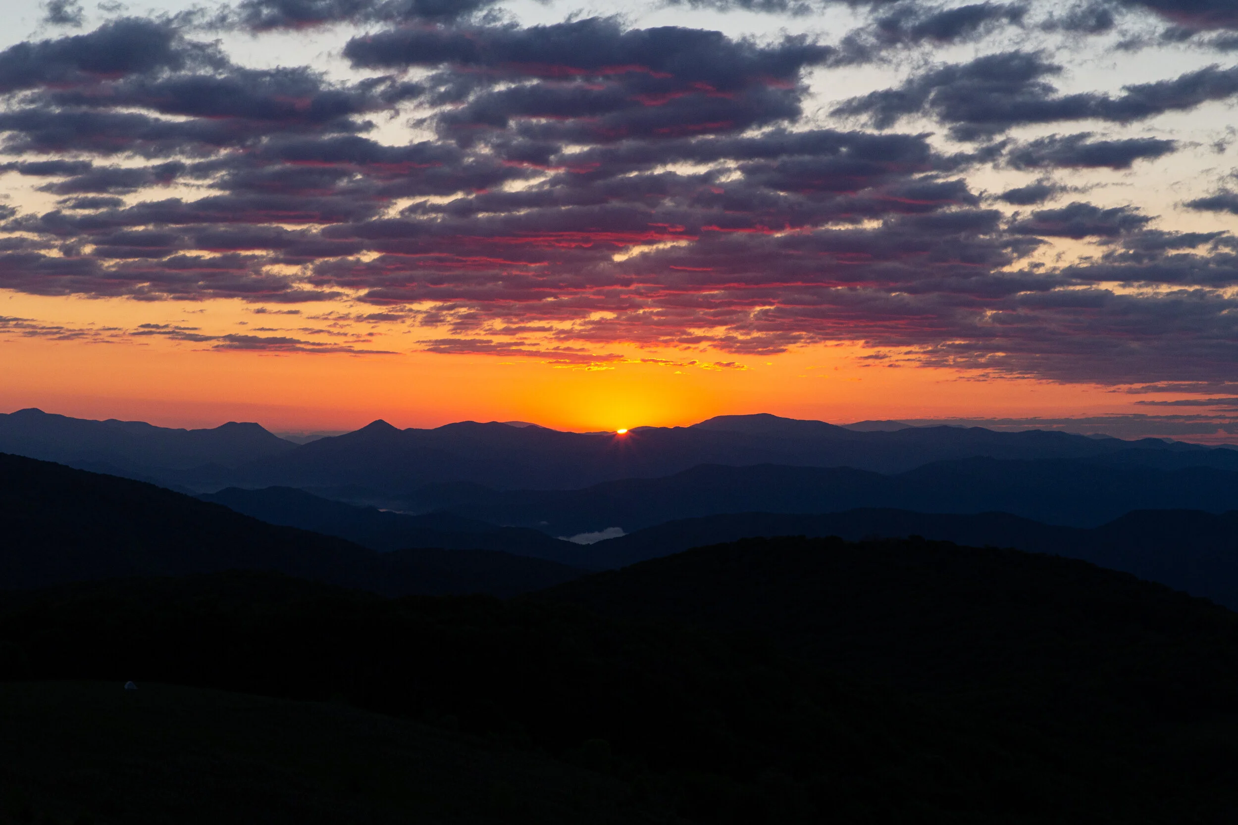 Max's Patch North Carolina Photography-32.jpg