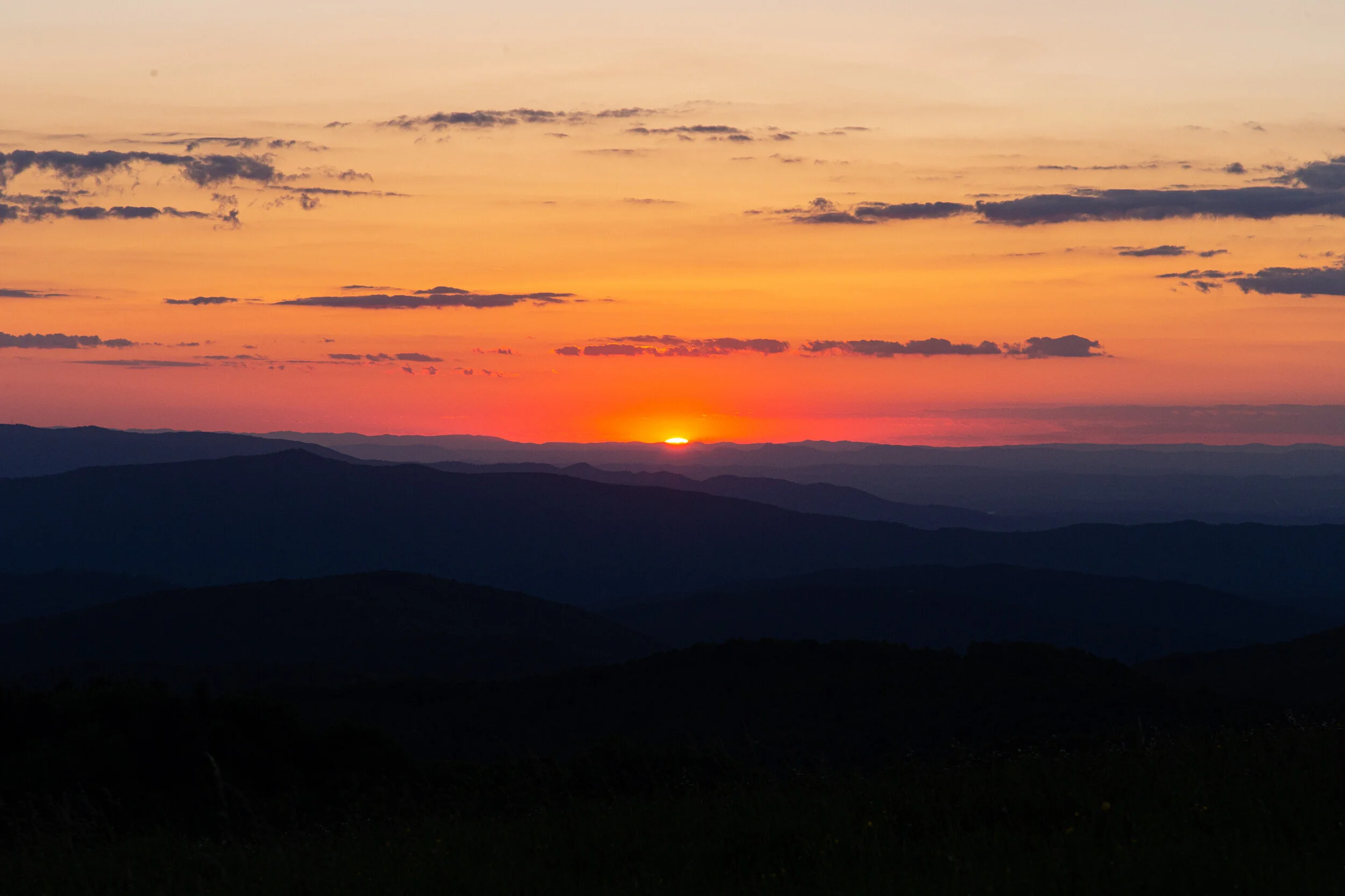 Max's Patch North Carolina Photography-27.jpg