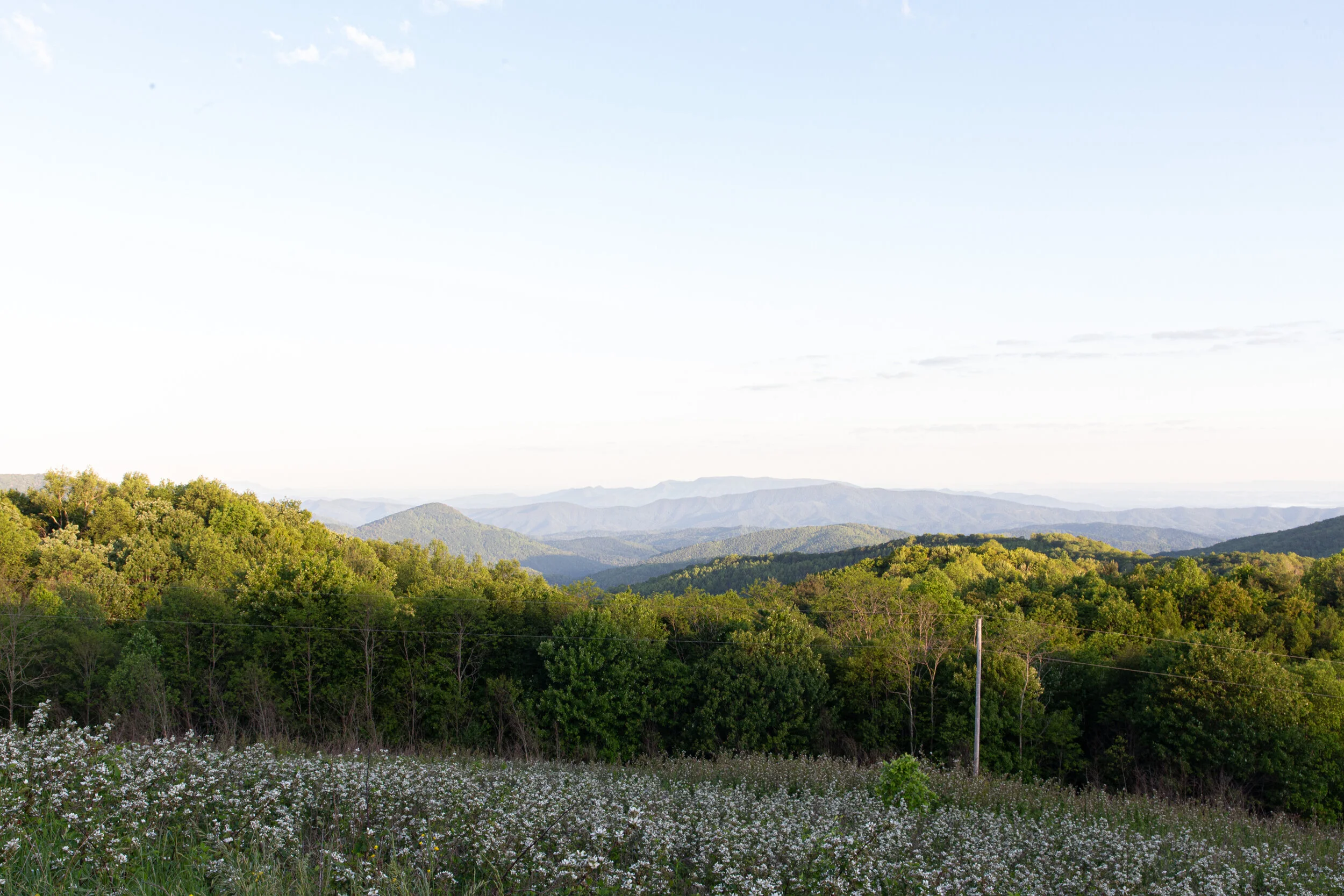 Max's Patch North Carolina Photography-47.jpg