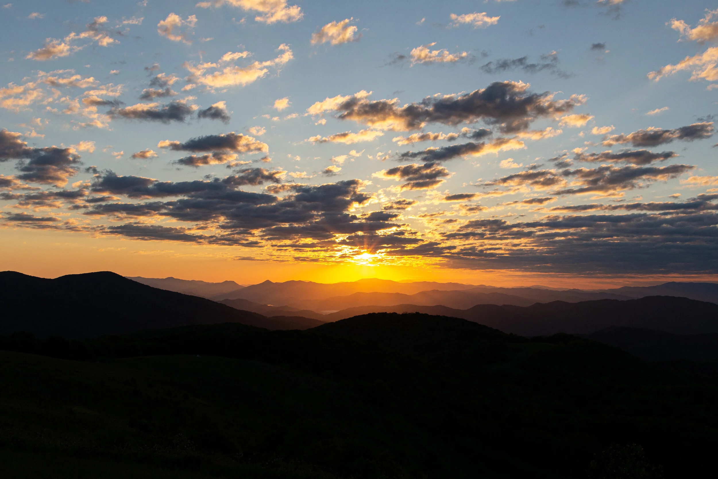 Max's Patch North Carolina Photography-44.jpg