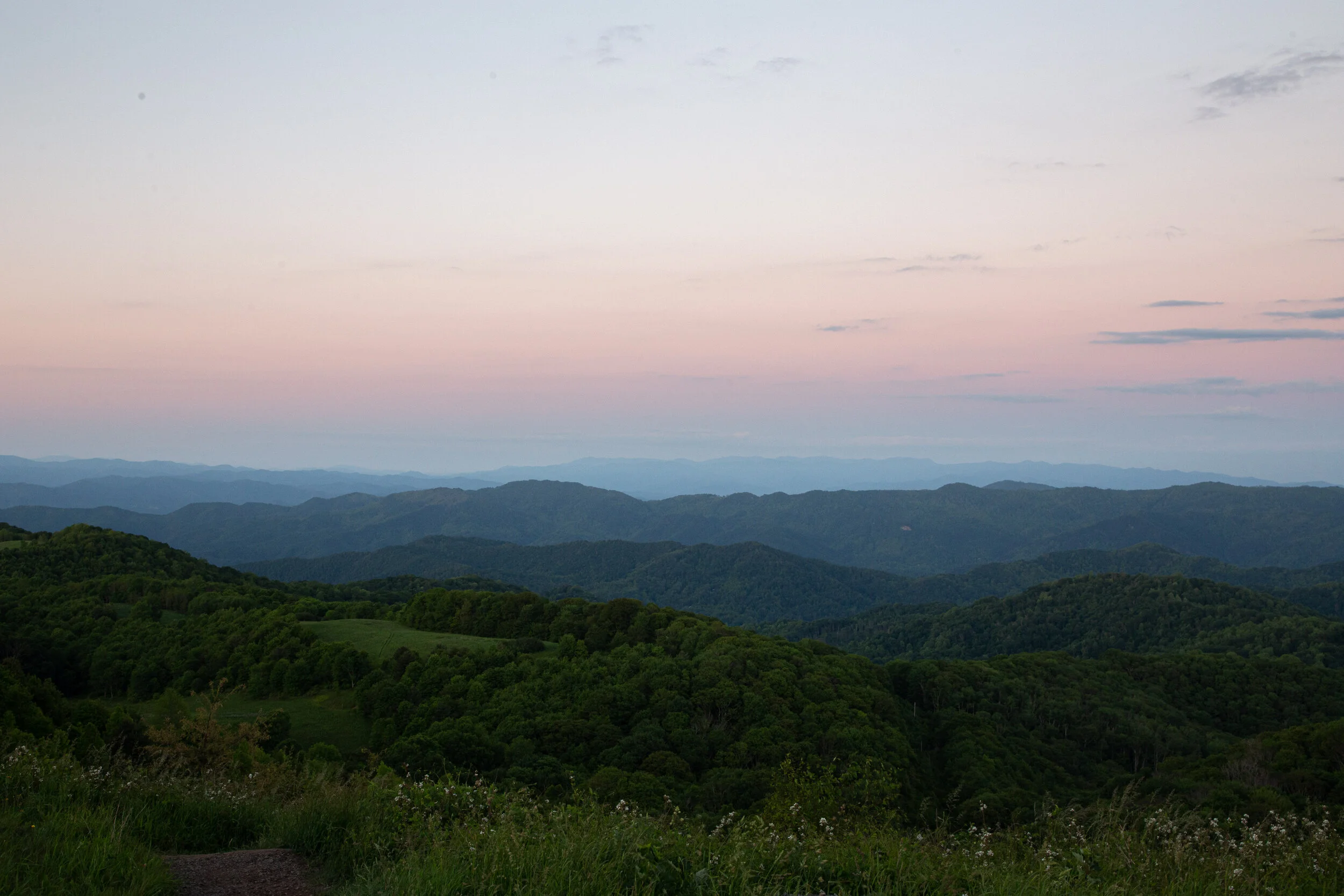 Max's Patch North Carolina Photography-26.jpg