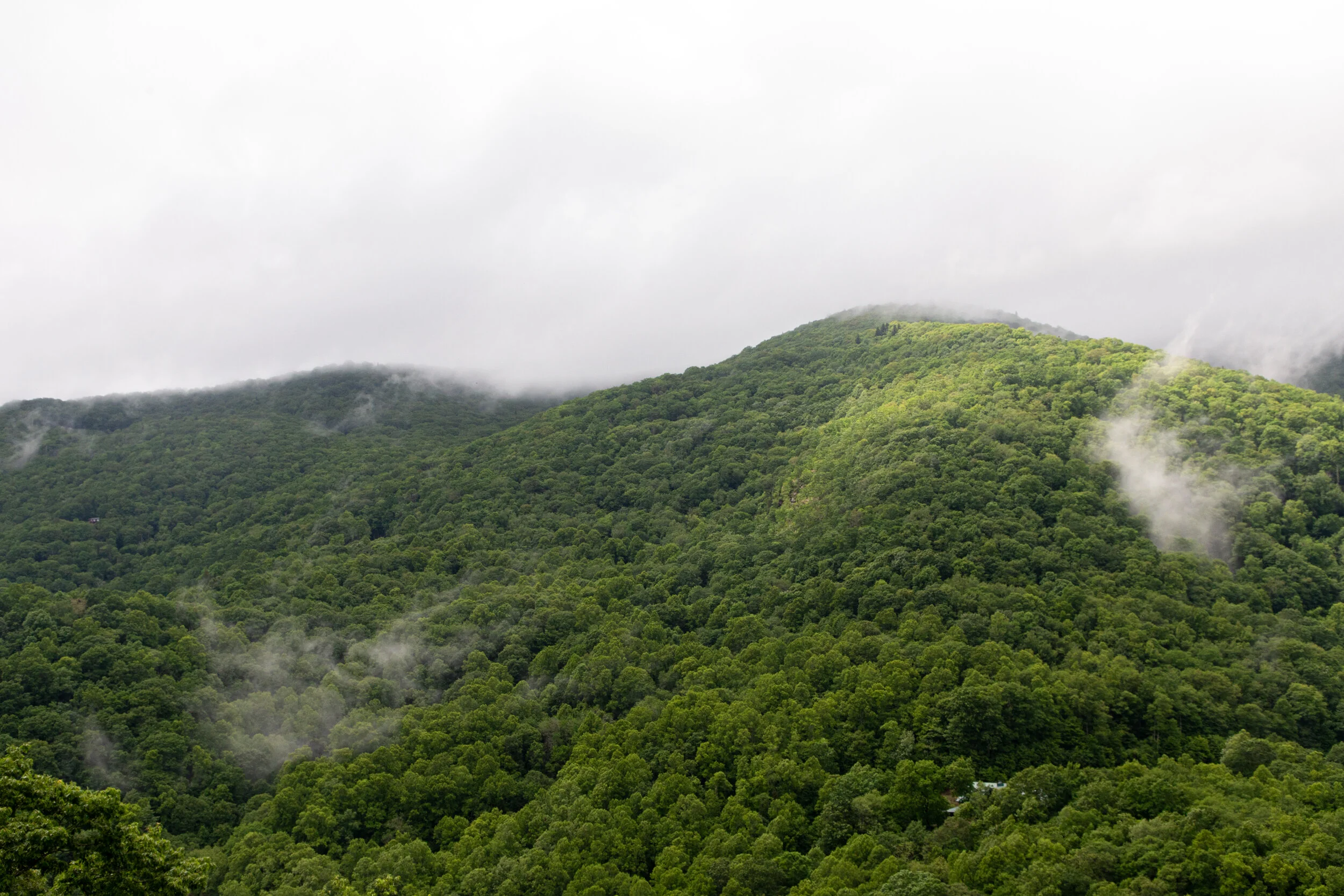 Great Smoky Mountains Photography-3.jpg